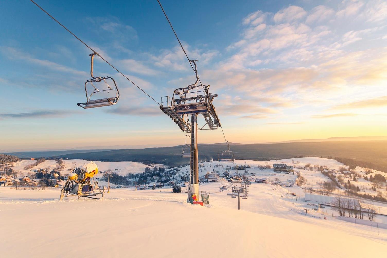 Słonecznikowa Polana