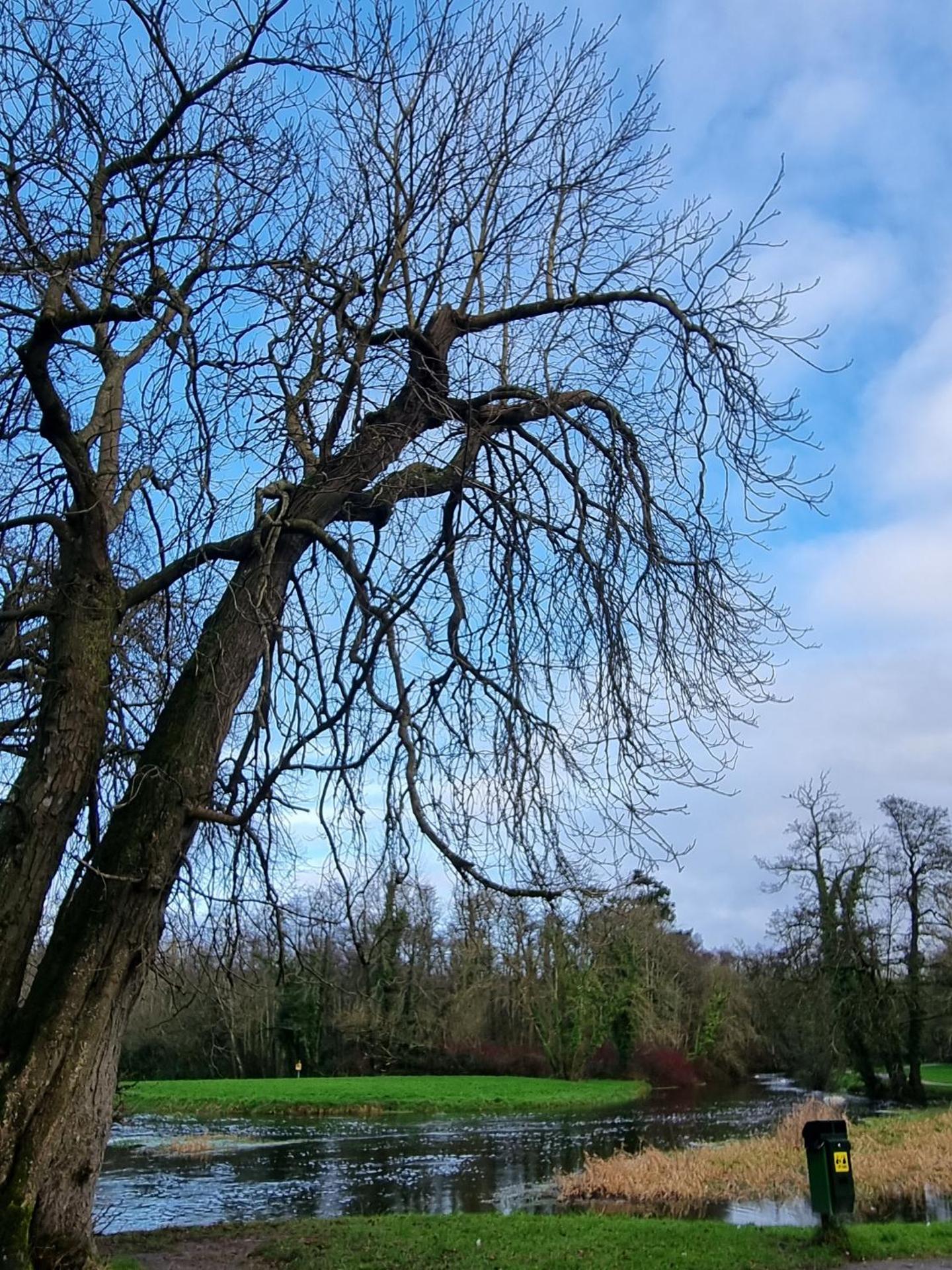 Superb 4 Bed / 3 Bath Bungalow in Mitchelstown