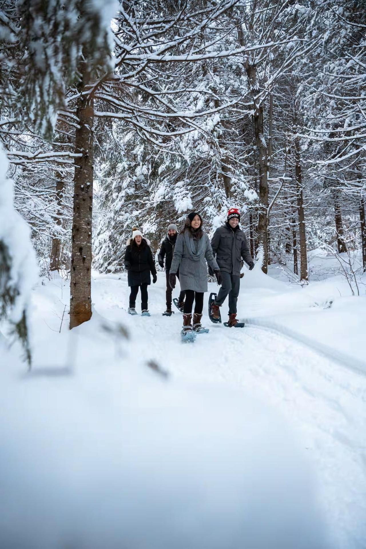 Chalet Élios , Private Hot Tub & Games, Ski