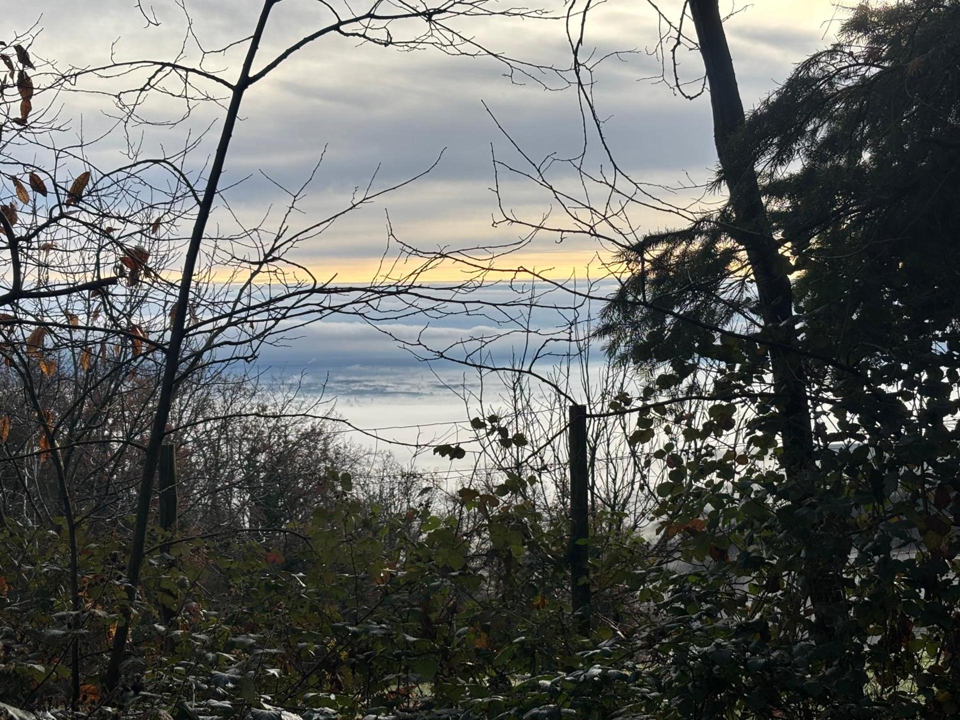 Le petit nid de Turckheim avec parking privé