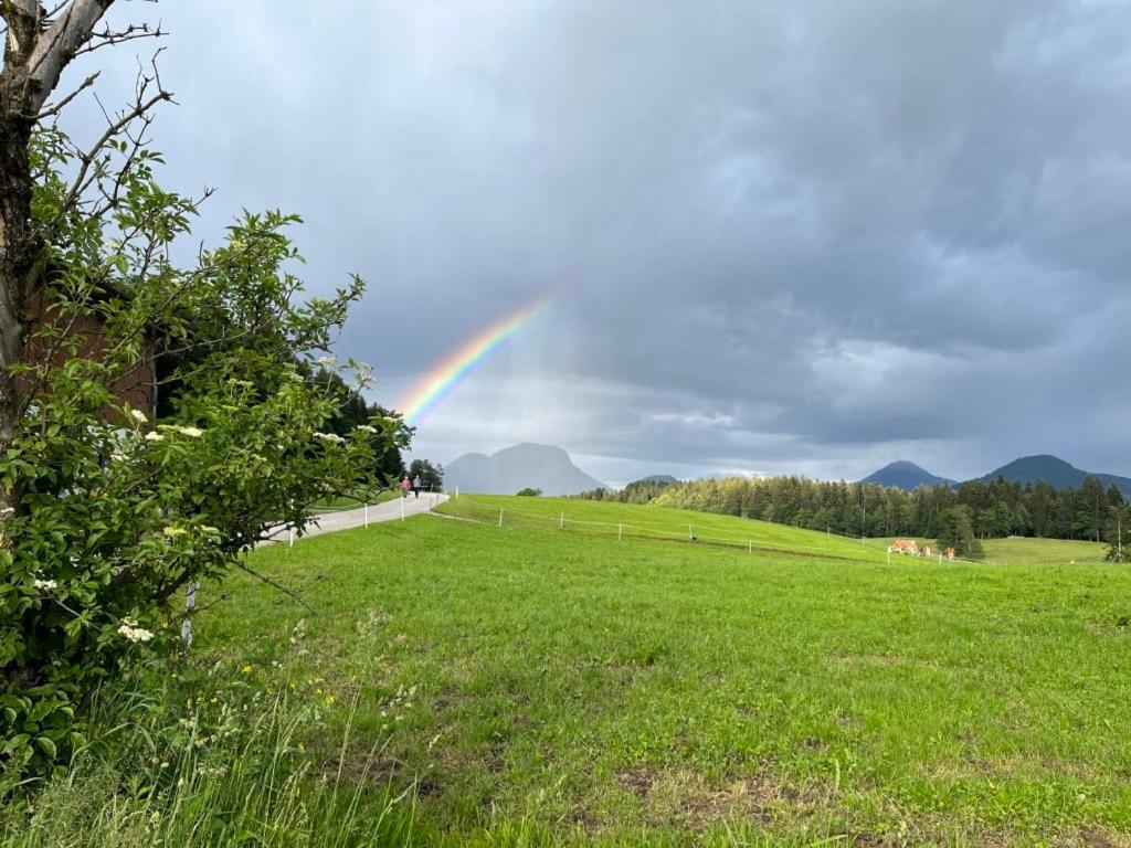 Wimmerhof - Appartement Bergsonne