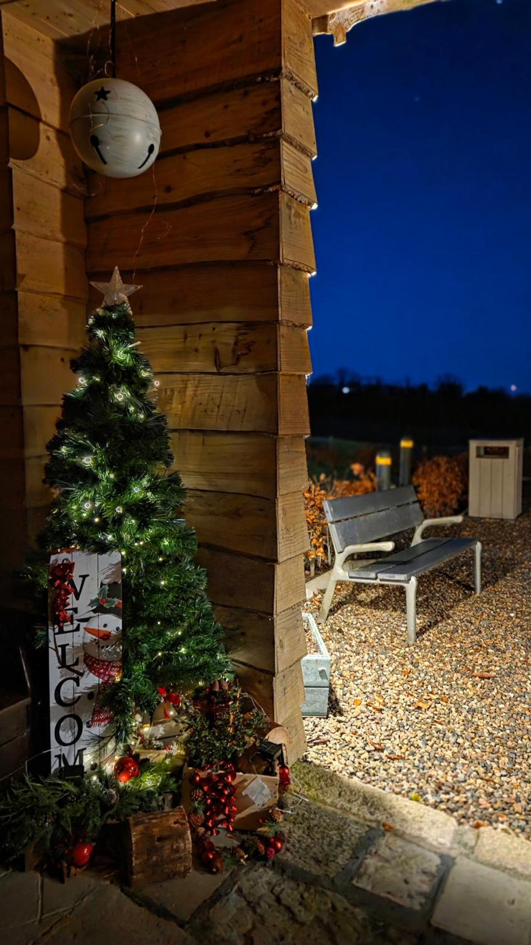 Forestview Cabin No 1 - cosy cabin stay