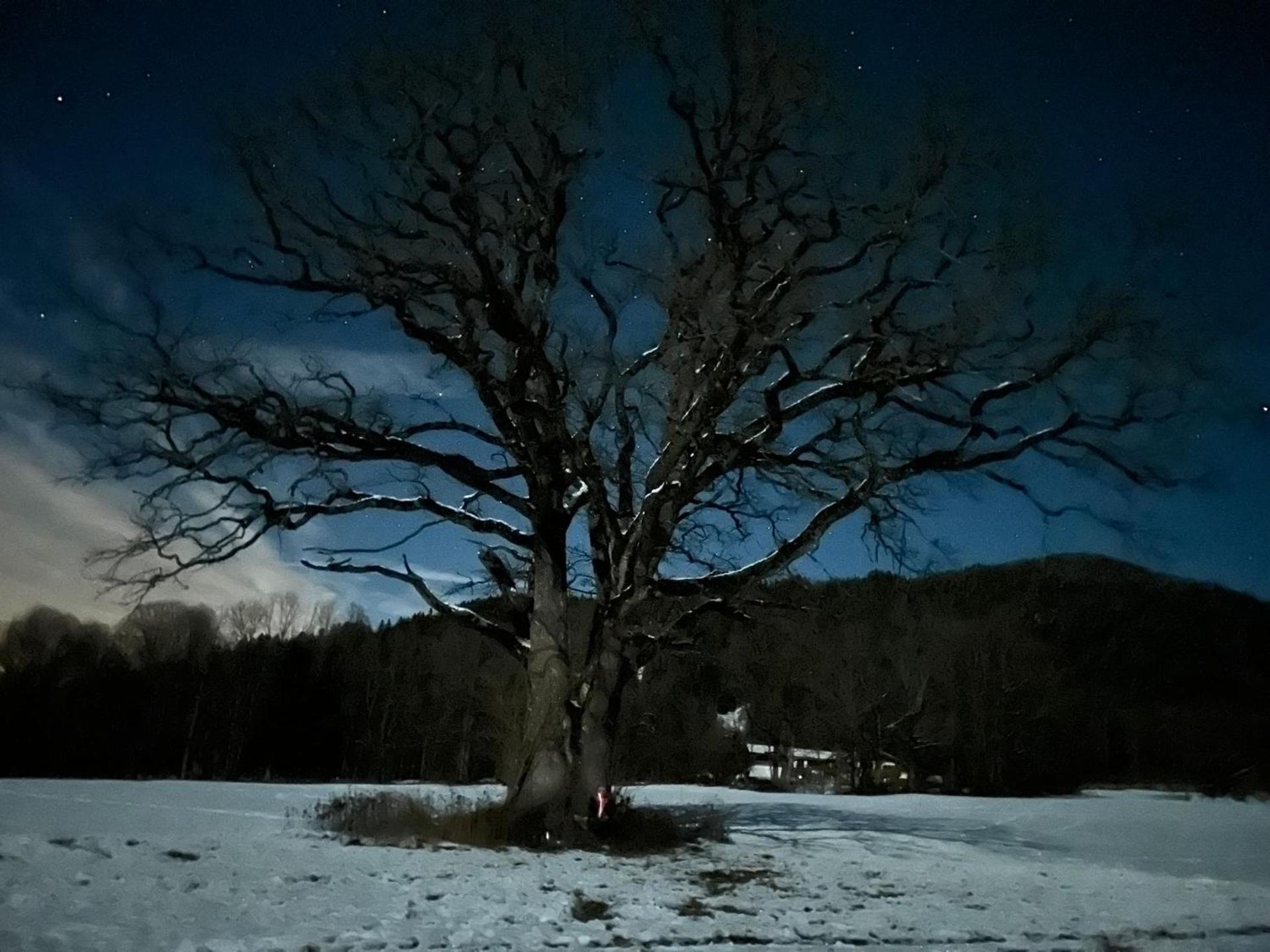 Ferienwohnung mit wundervollen Bergblick