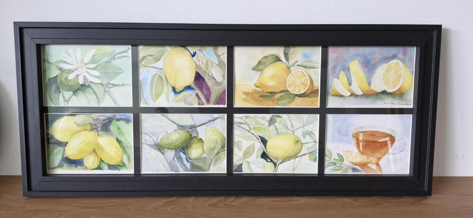 Lemon Tree Guest House