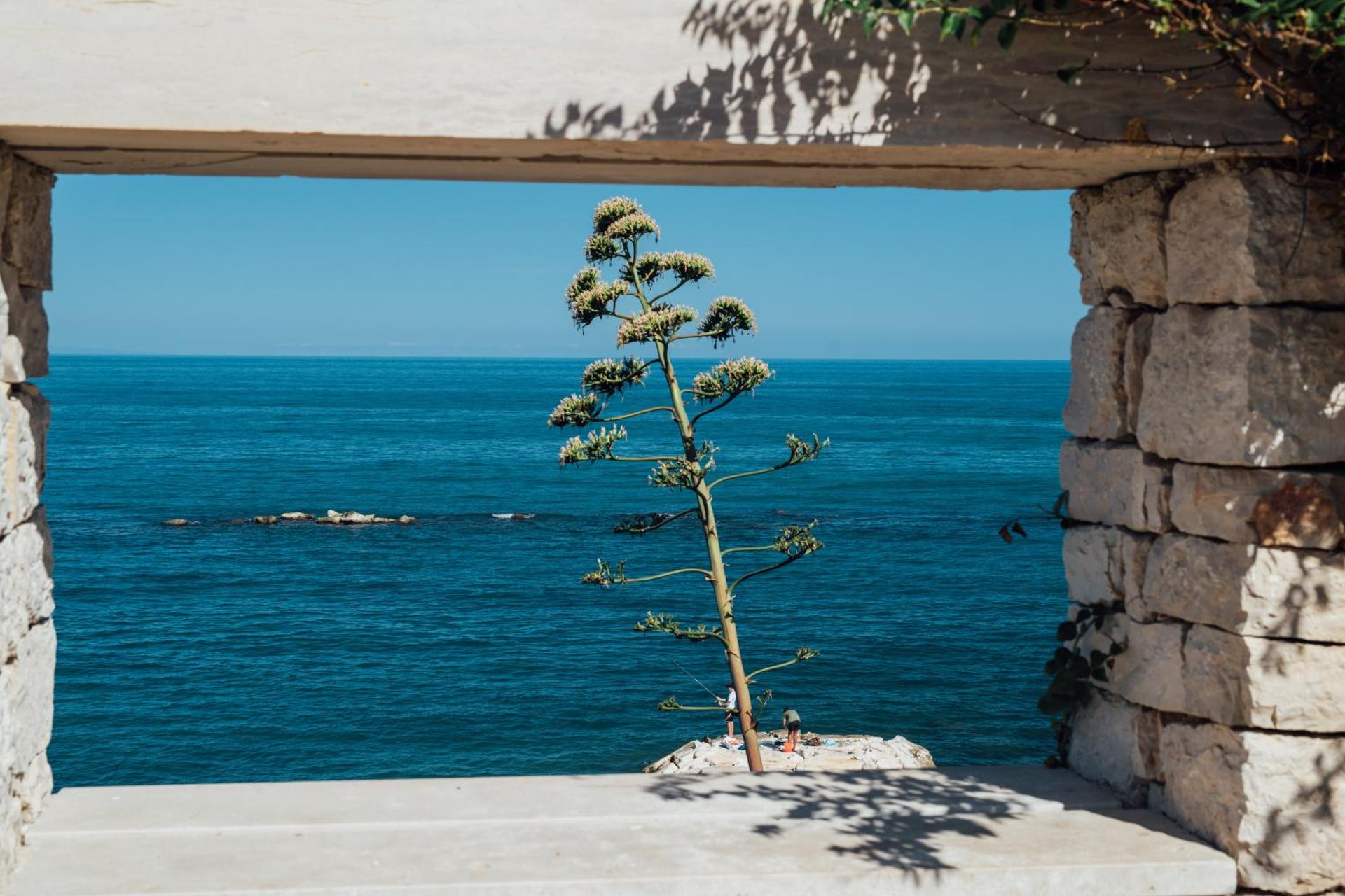 Banfi's villa on the sea