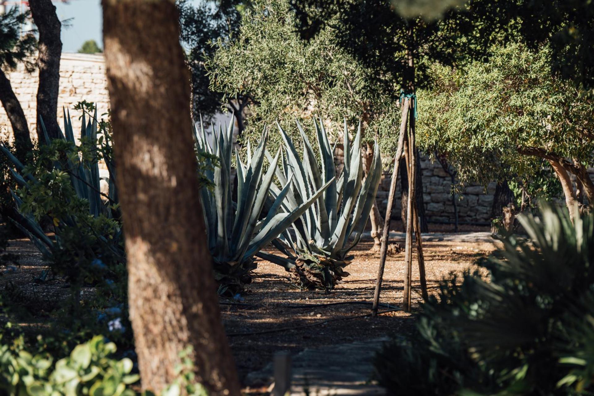 Banfi's villa on the sea