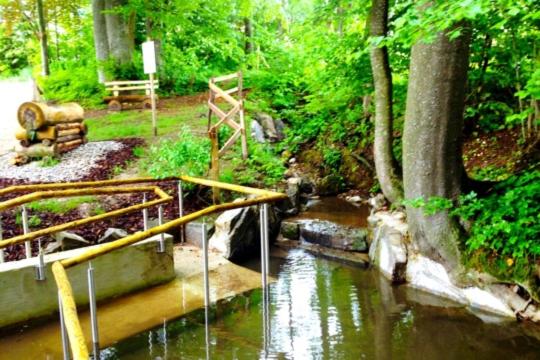 Spa and wellness centre/facilities