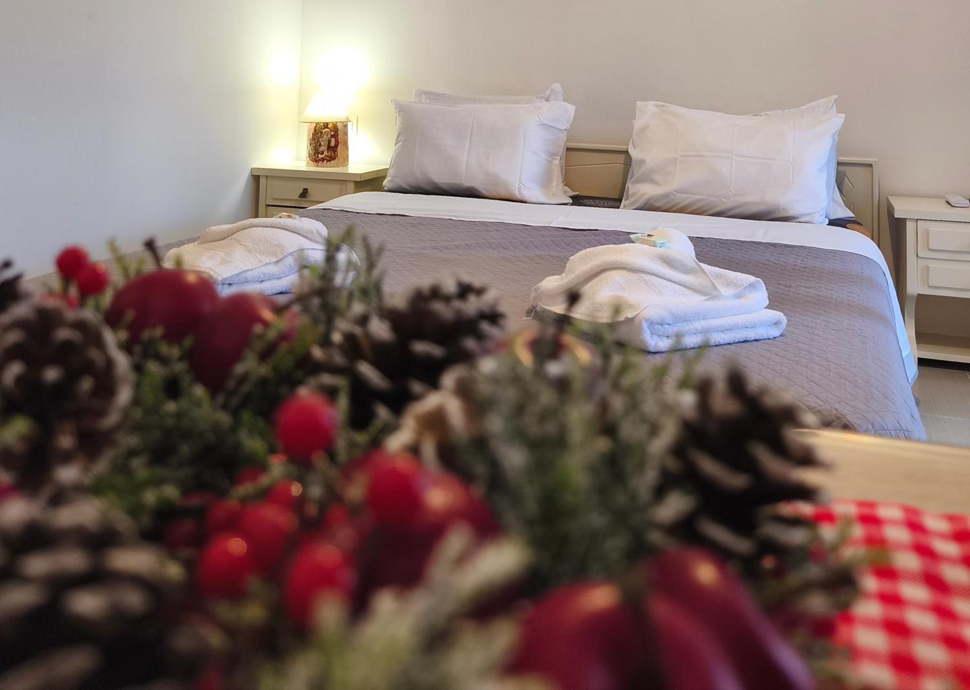 Creta Irini's Rooms3