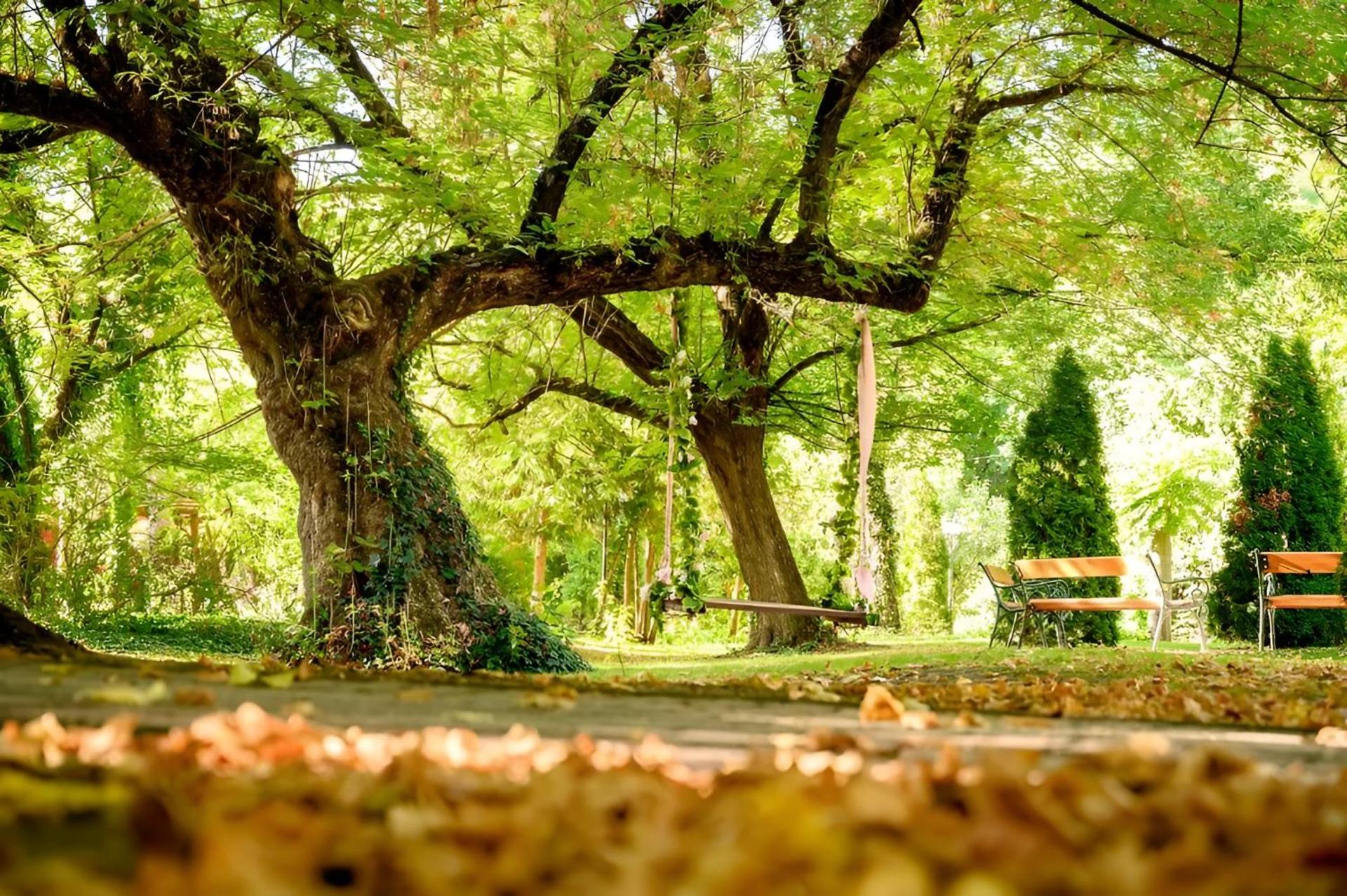 Forster Vadászkastély Wellness és Konferencia Szálloda