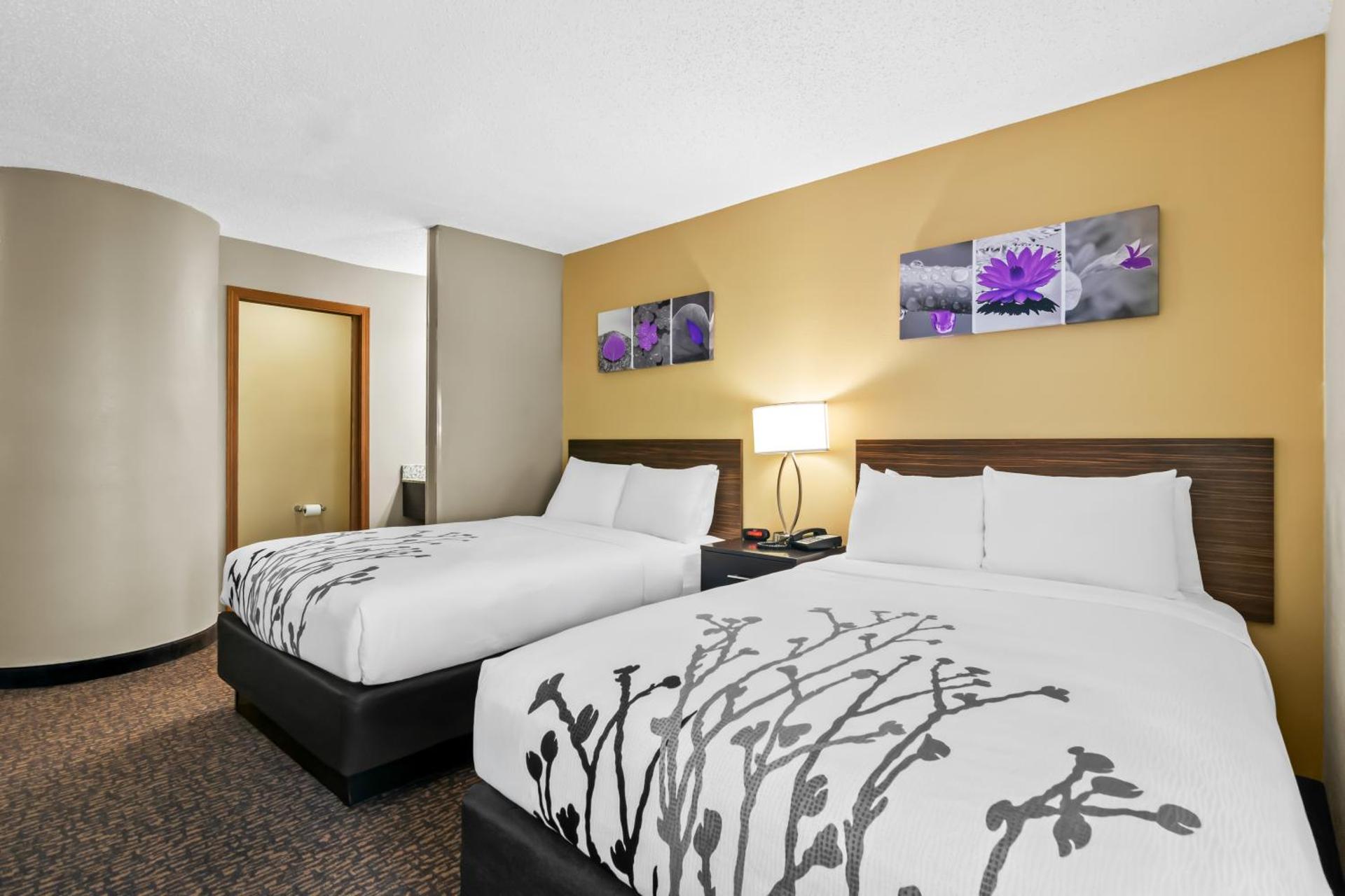 Double Room with Two Double Beds - Non Smoking