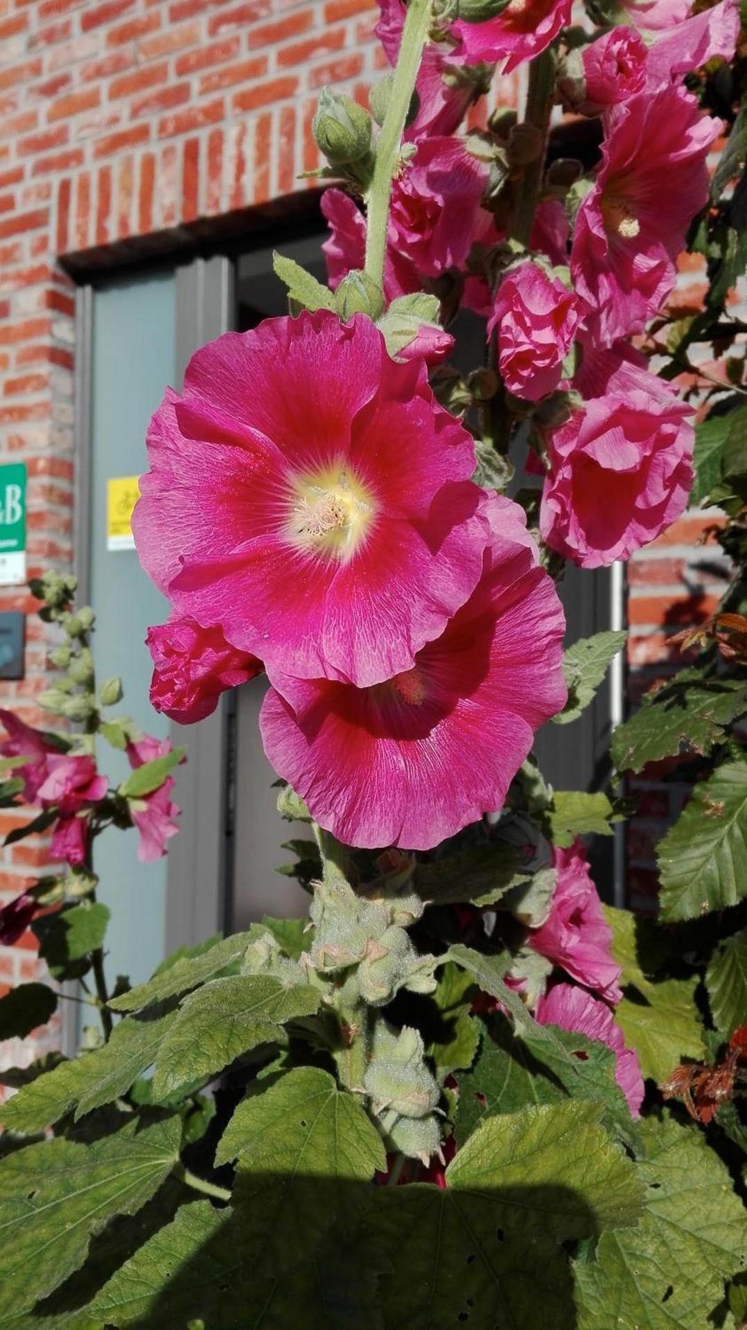 Property logo or sign