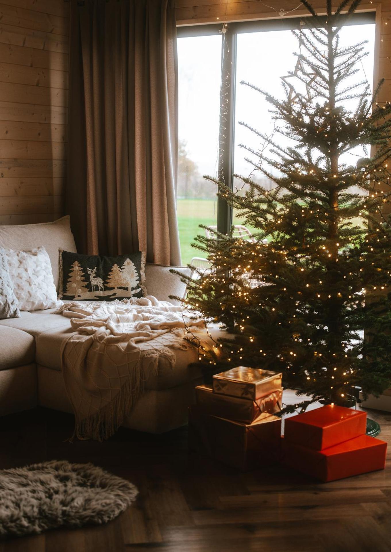 Wood House Trzęsacz