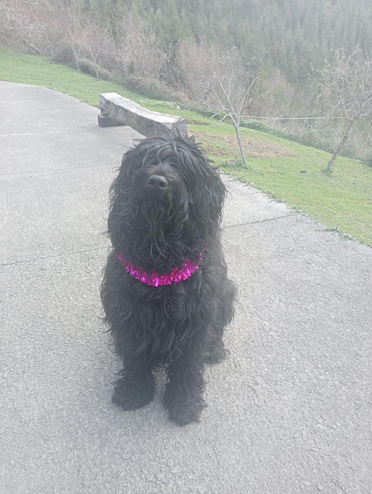 CHILL & ZEN - Caserío Itxaiz -