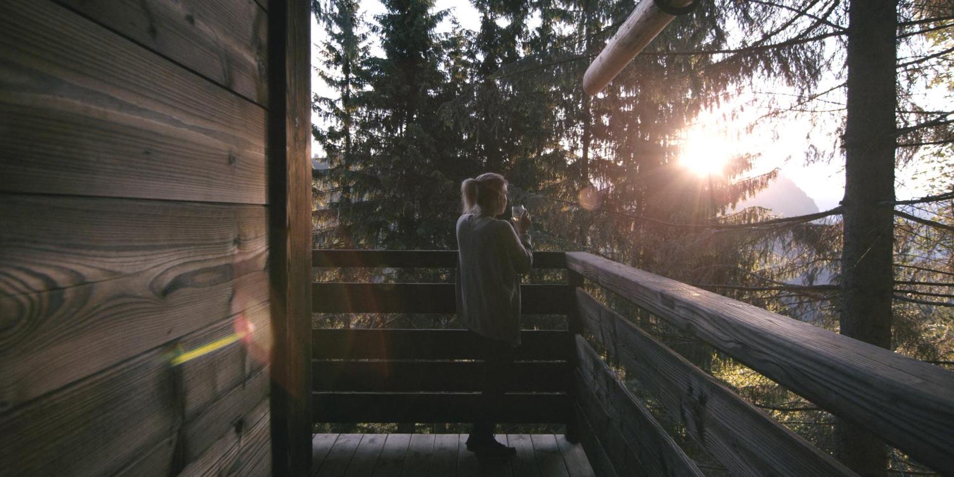 Cabane entre terre et ciel