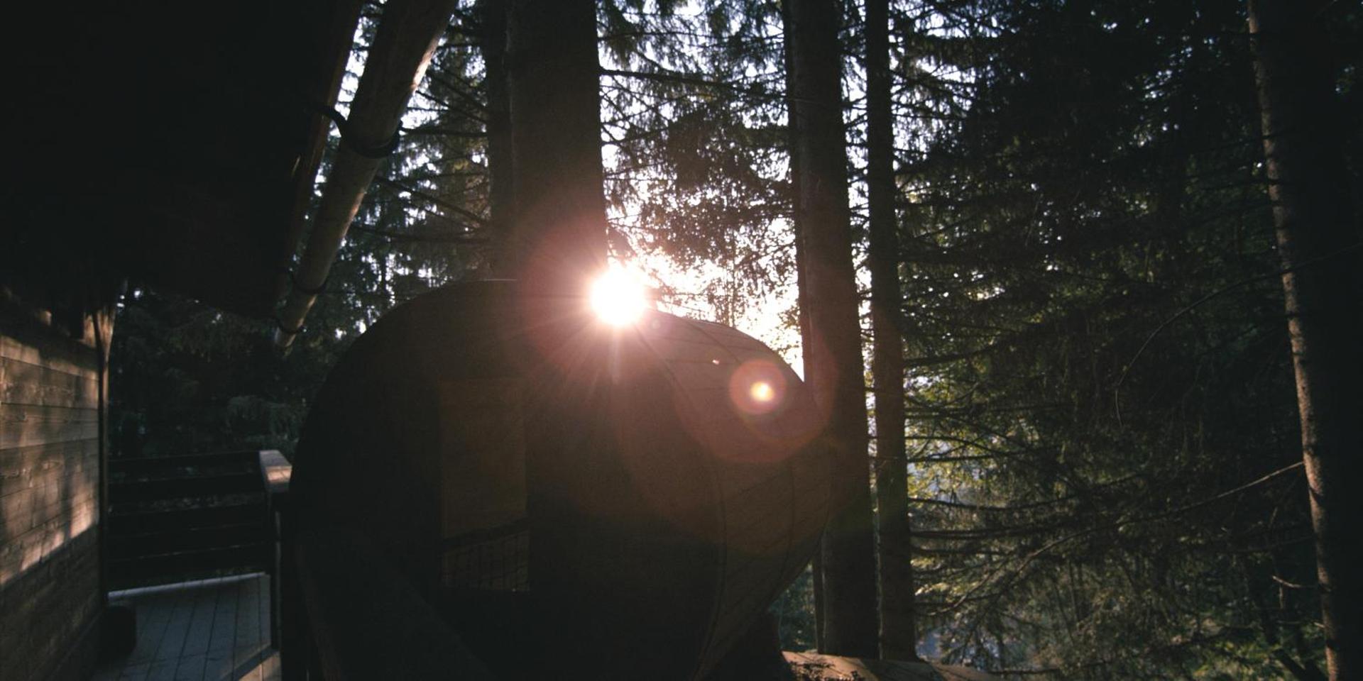 Cabane entre terre et ciel