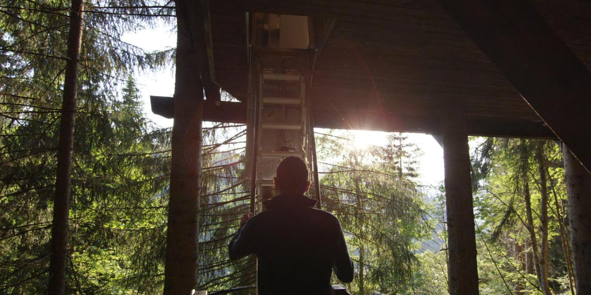Cabane entre terre et ciel