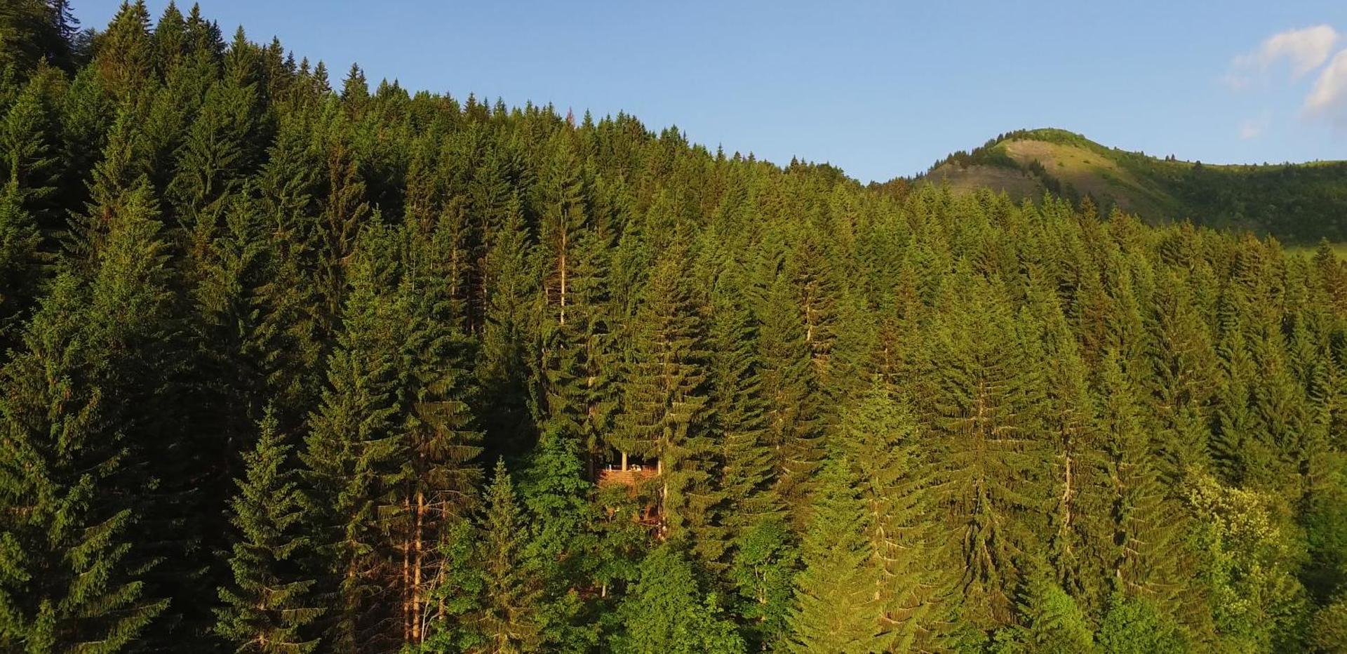 Cabane entre terre et ciel