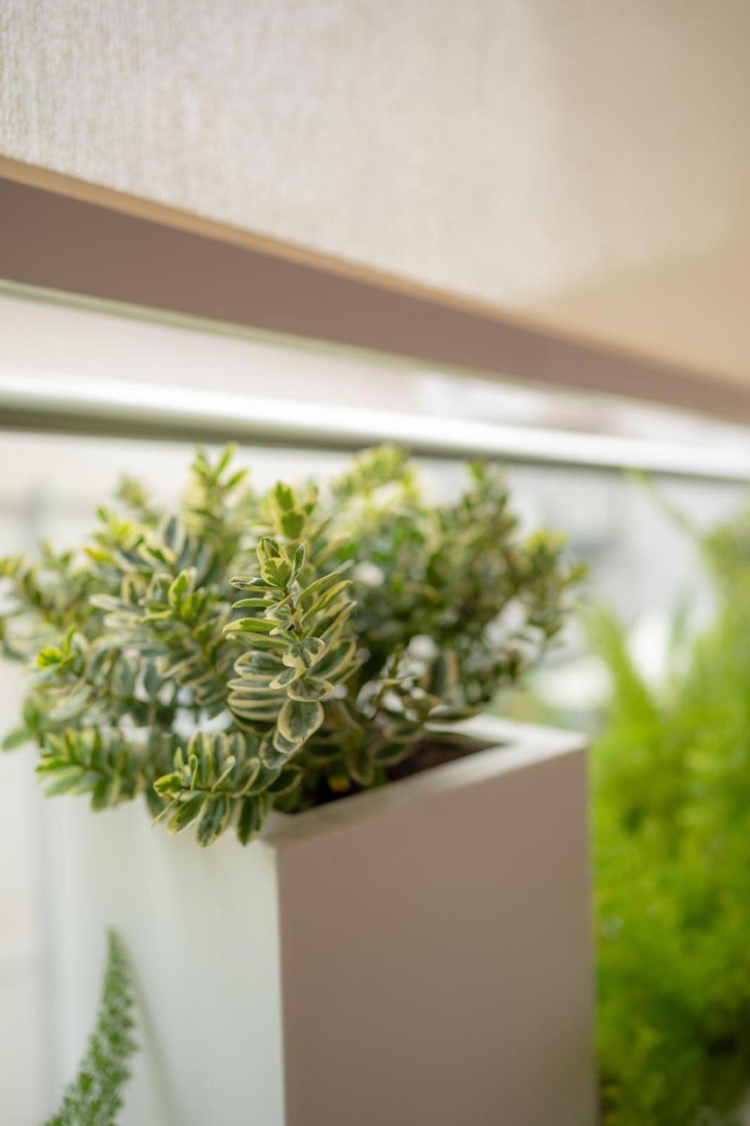 URBAN MOOD centro-mare-parcheggio gratuito-Smart self check in 24h