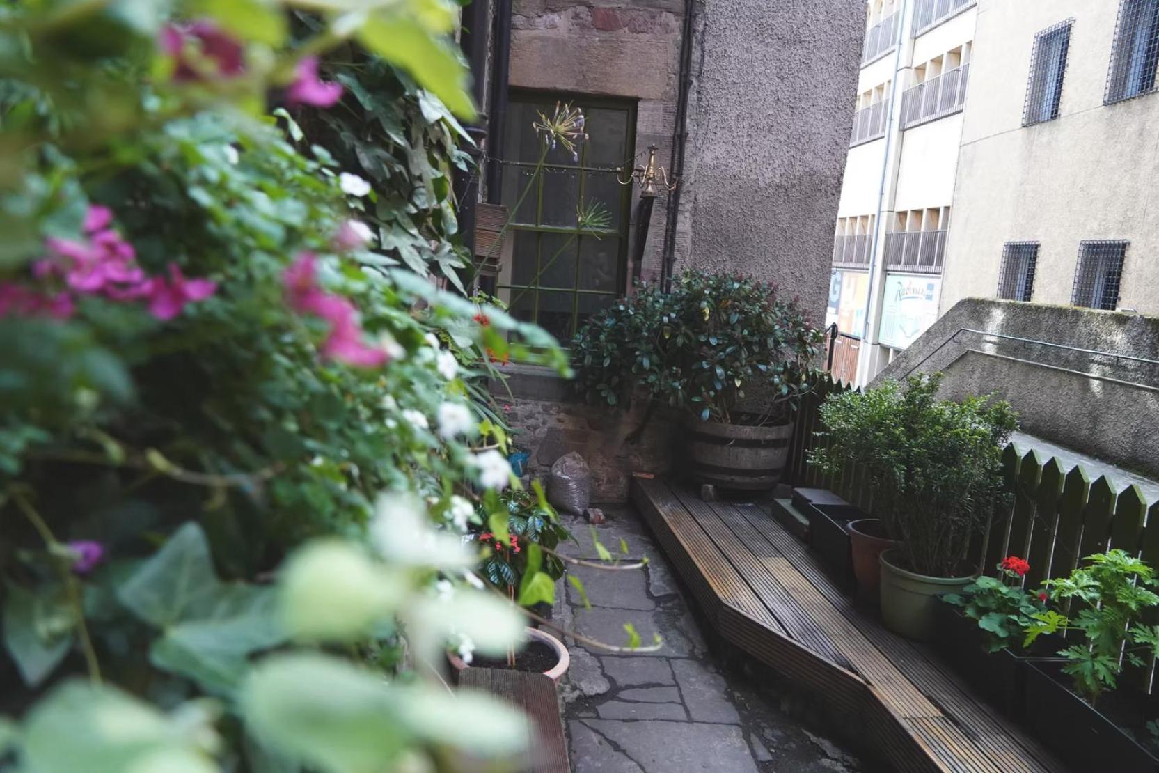 High Street Hostel - Over 18s Only, Backpackers Atmosphere