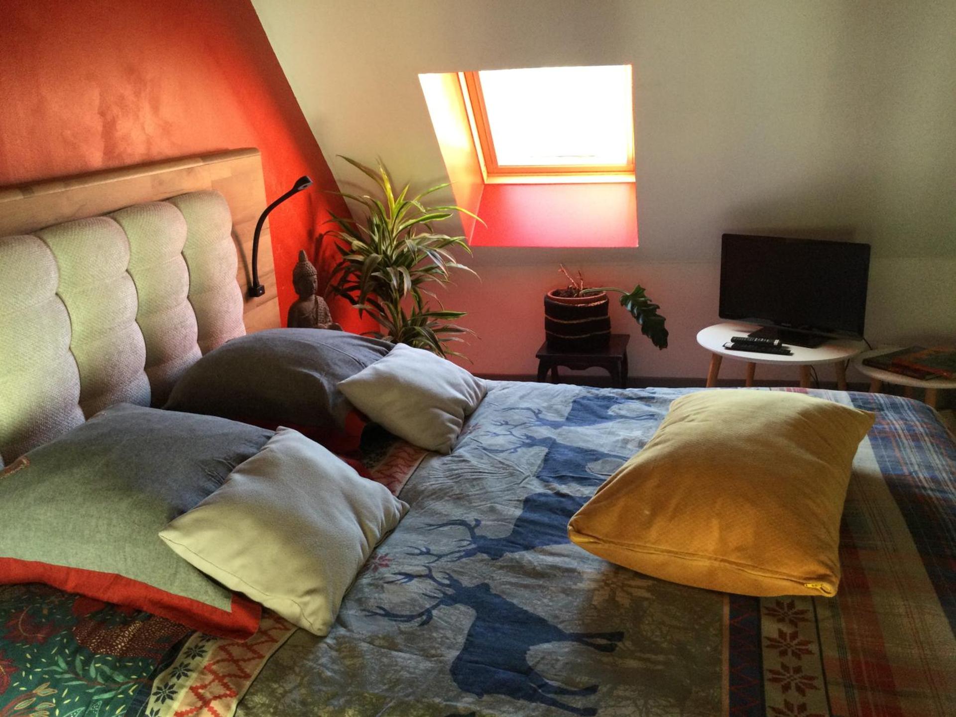 Le petit secret au pied du zoo