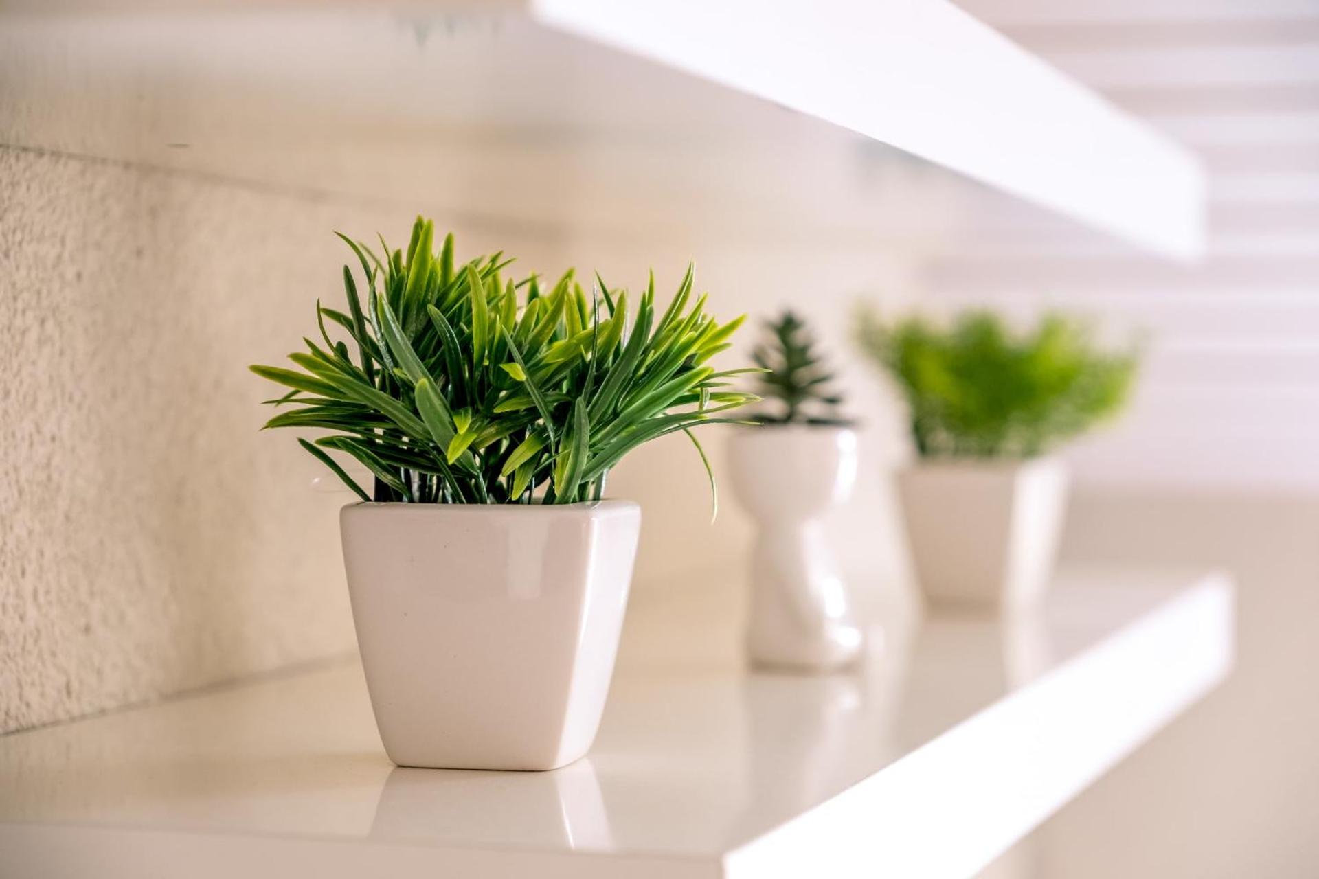 Slow Chalet MtBlanc Soleil Ski-inout Nice View Balcony Elevator Parking