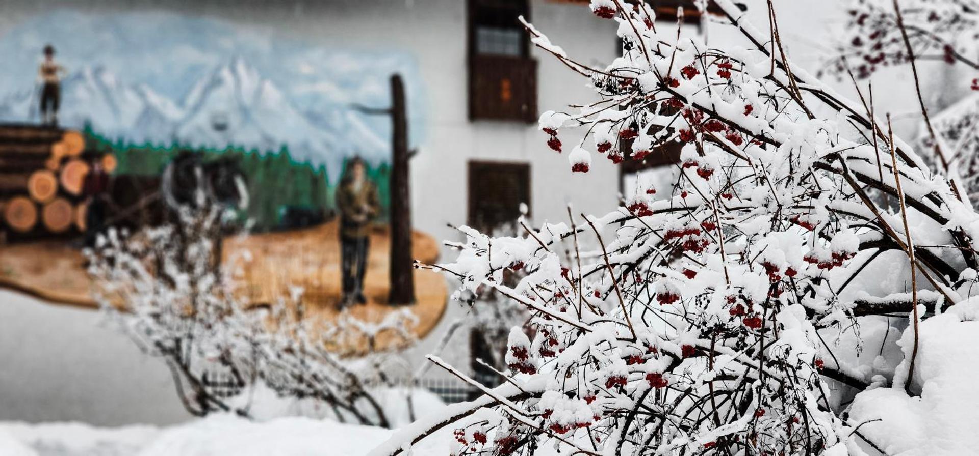 Icicle Village Resort