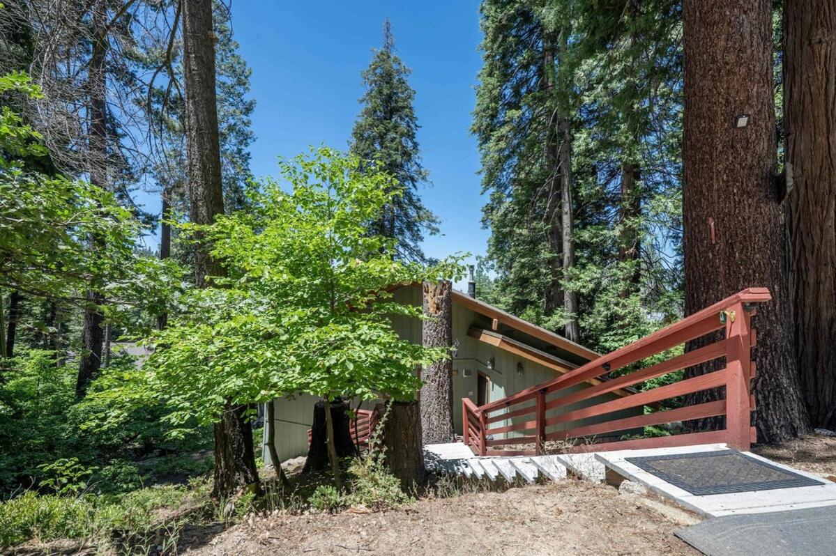Yosemite Cub's Cabin