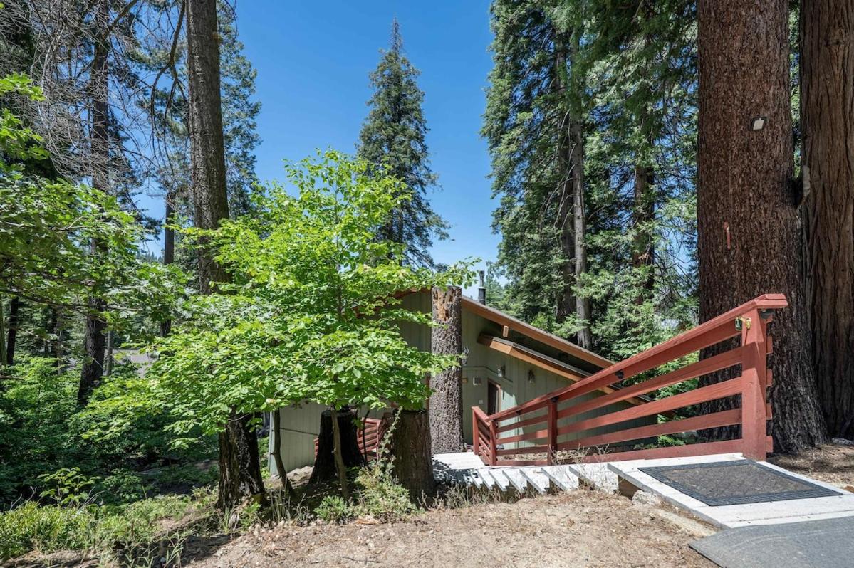 Yosemite Cub's Cabin