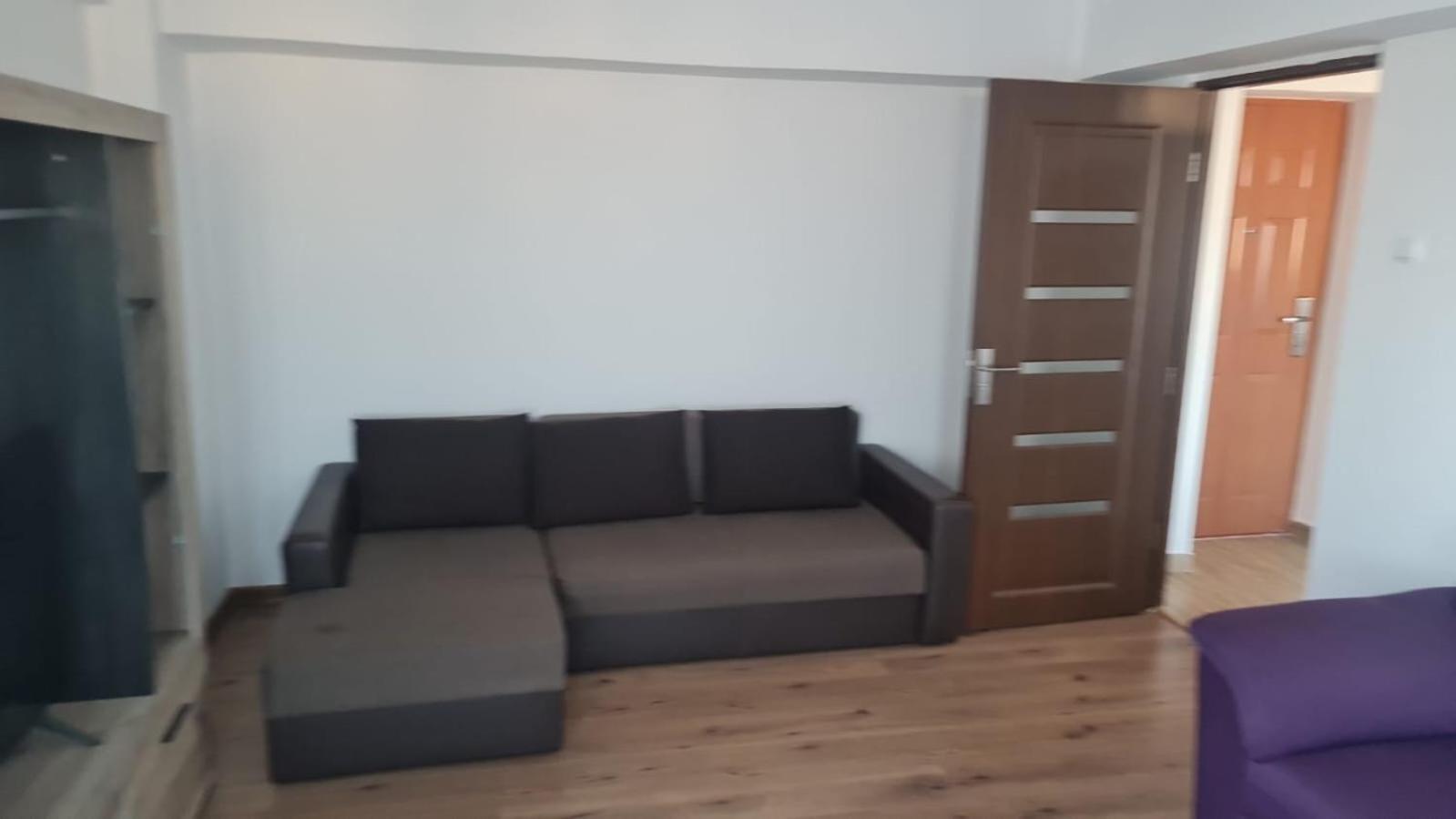 Brancoveanu Avenue Apartament