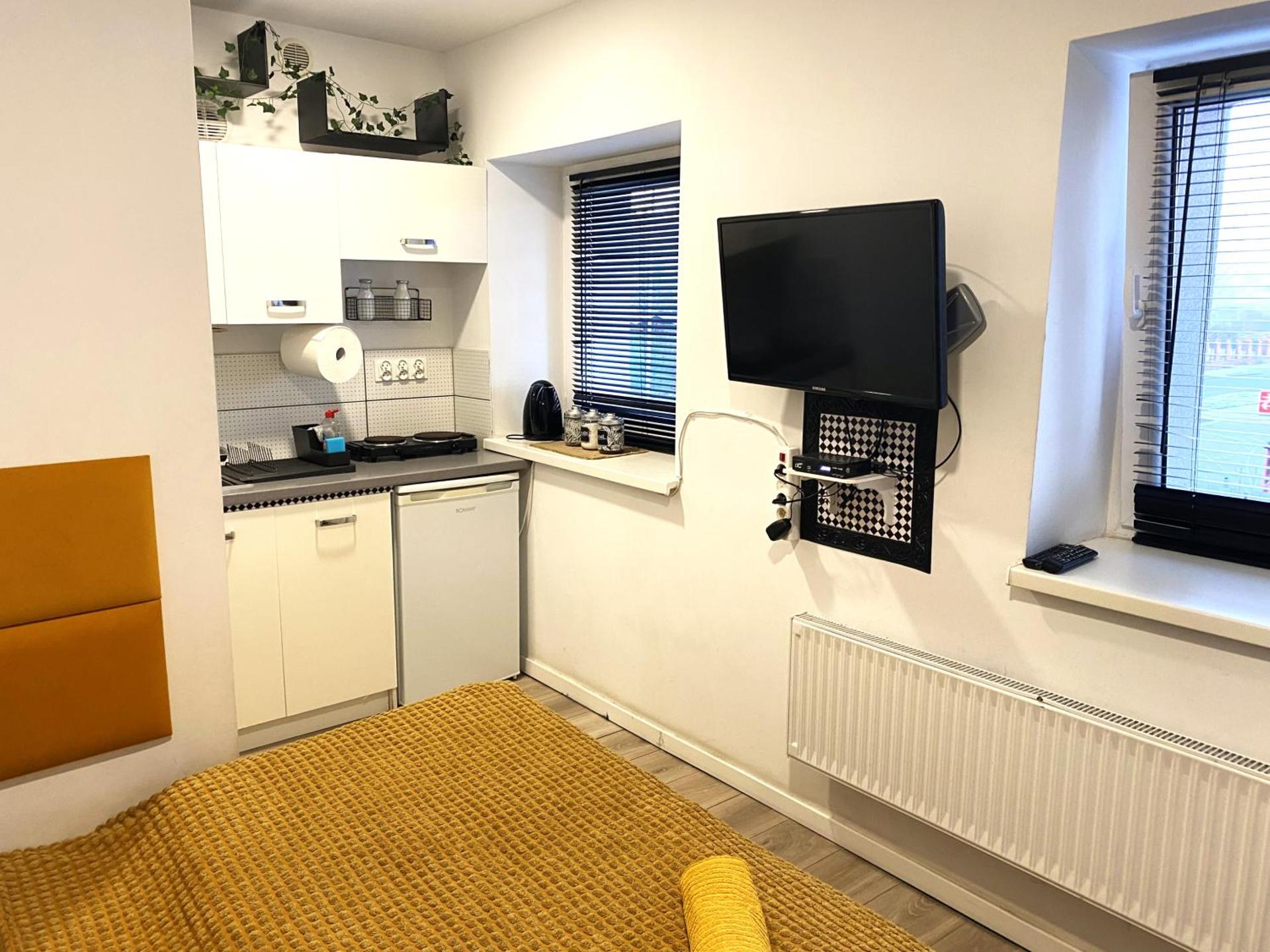 Lemuria Studio Łokietka