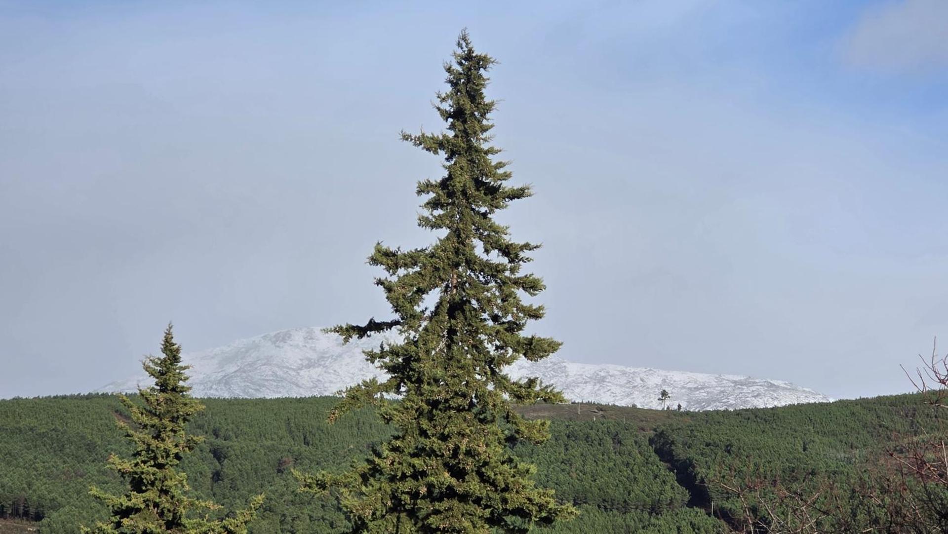 Quinta da Feteira - Conforto, Aventura, Saúde