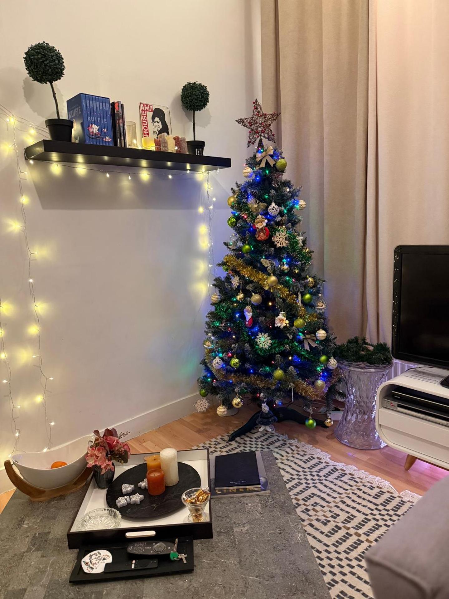 Antwerpen duplex apartment