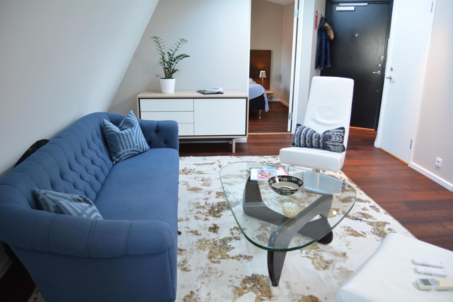 Deluxe One-Bedroom Apartment