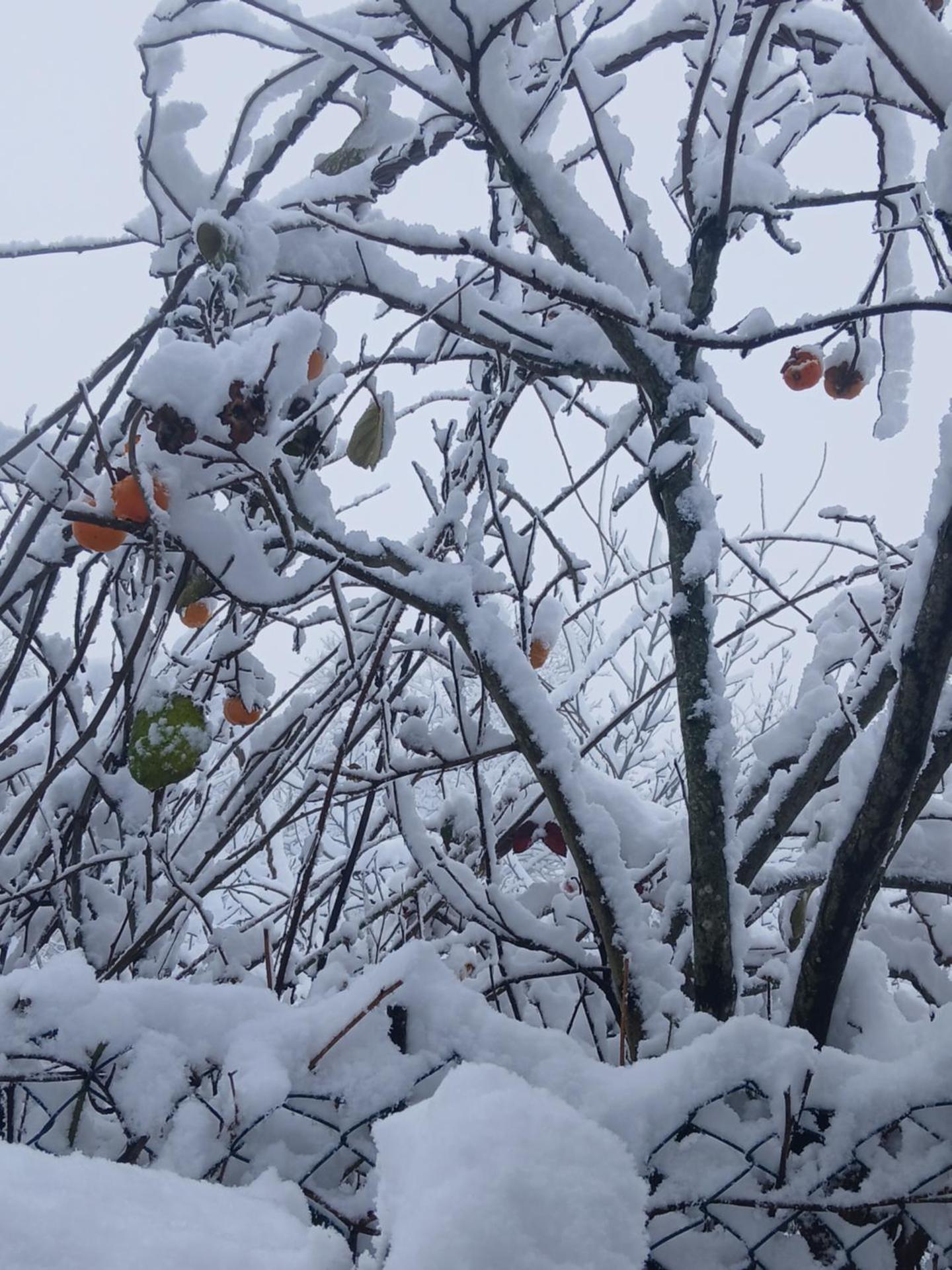 Casa da Emilia do Gerês