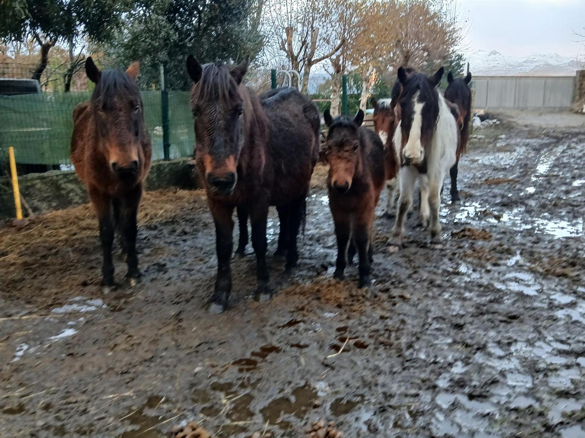 Casa da Emilia do Gerês
