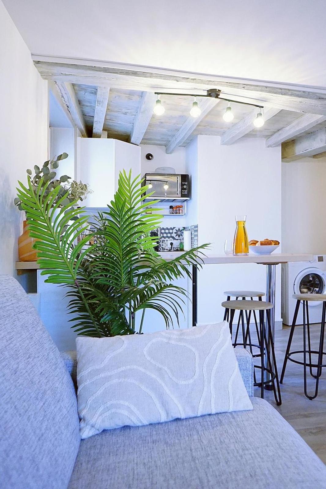 Studio Élégant Roanne