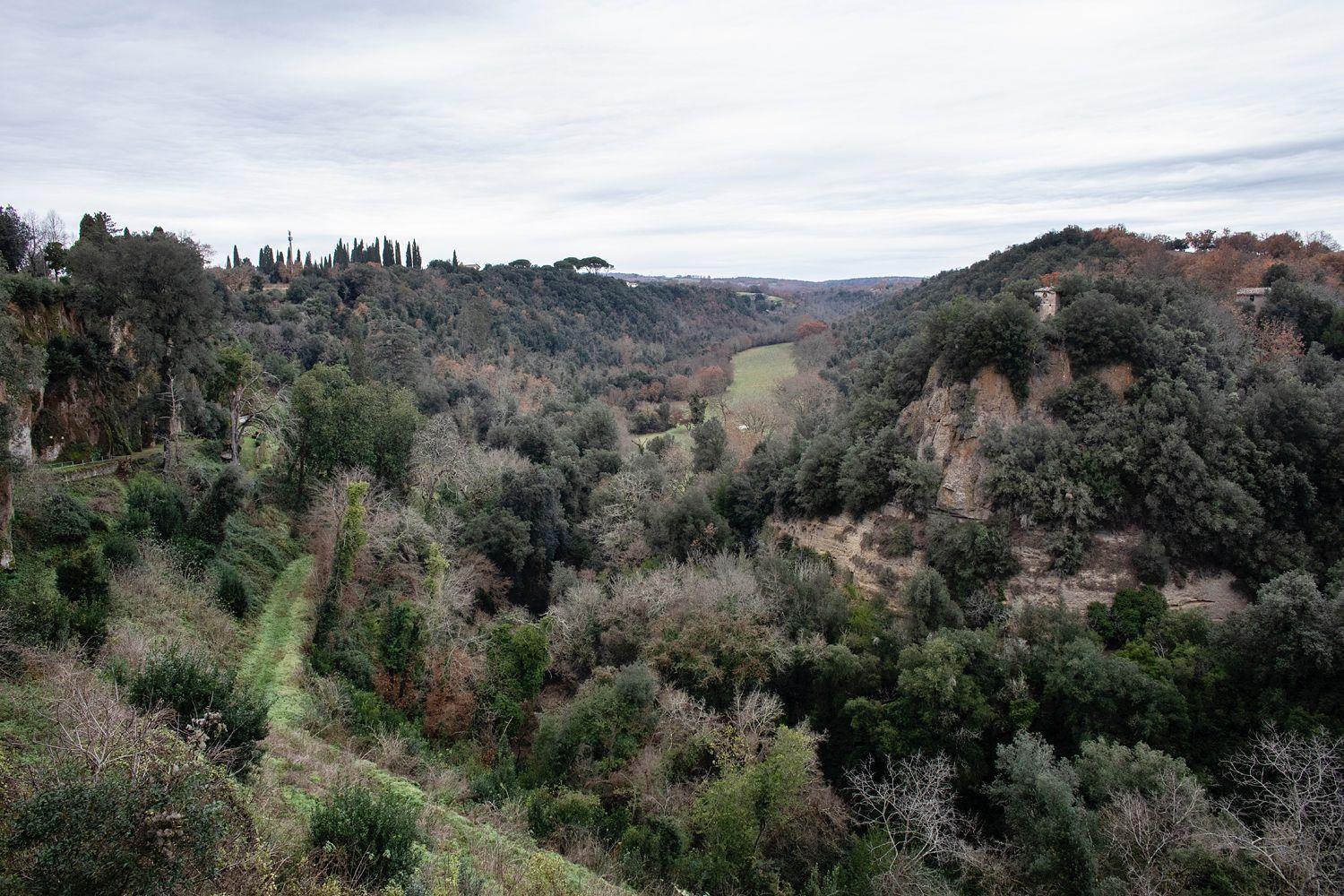 La loggia del pappagallo