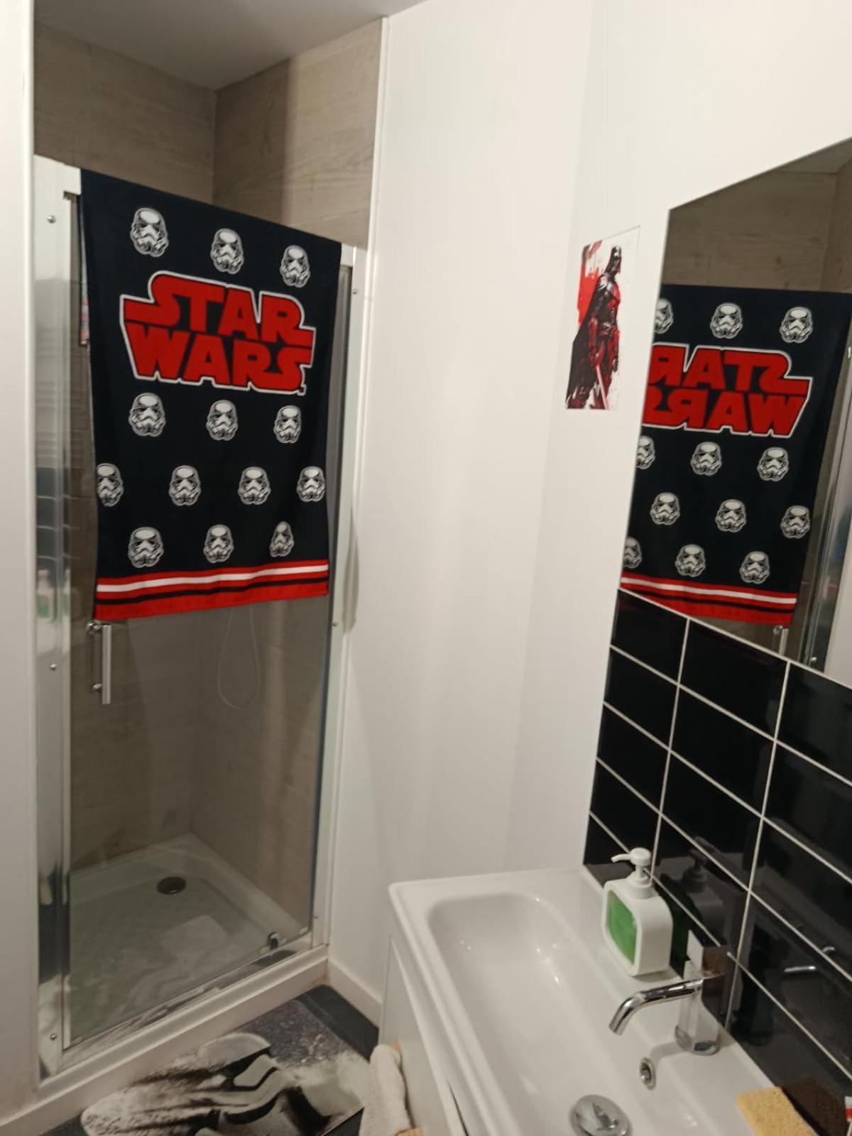 maison luxe star wars aeroport beauvais tille 2 a 5 personnes
