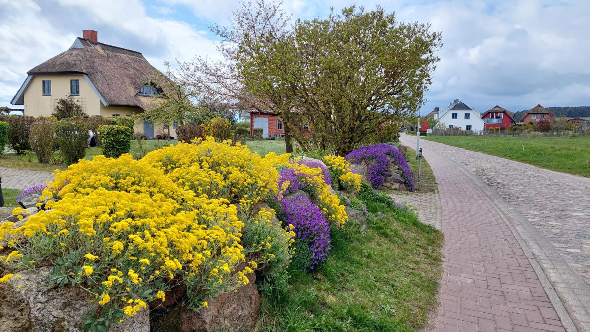 Alte und Neue Büdnerei