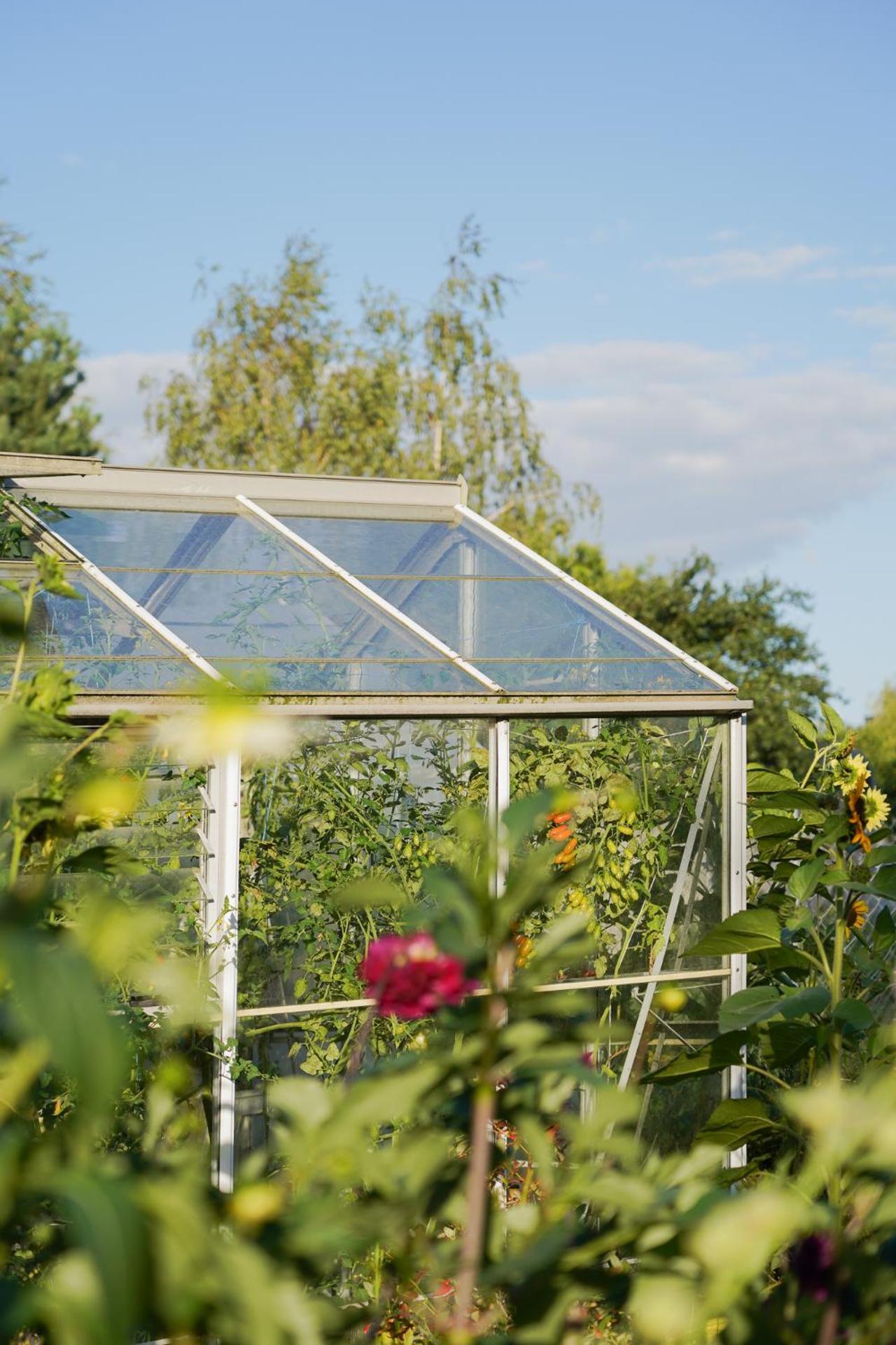 Agroturystyka Kaszmir Janów Podlaski