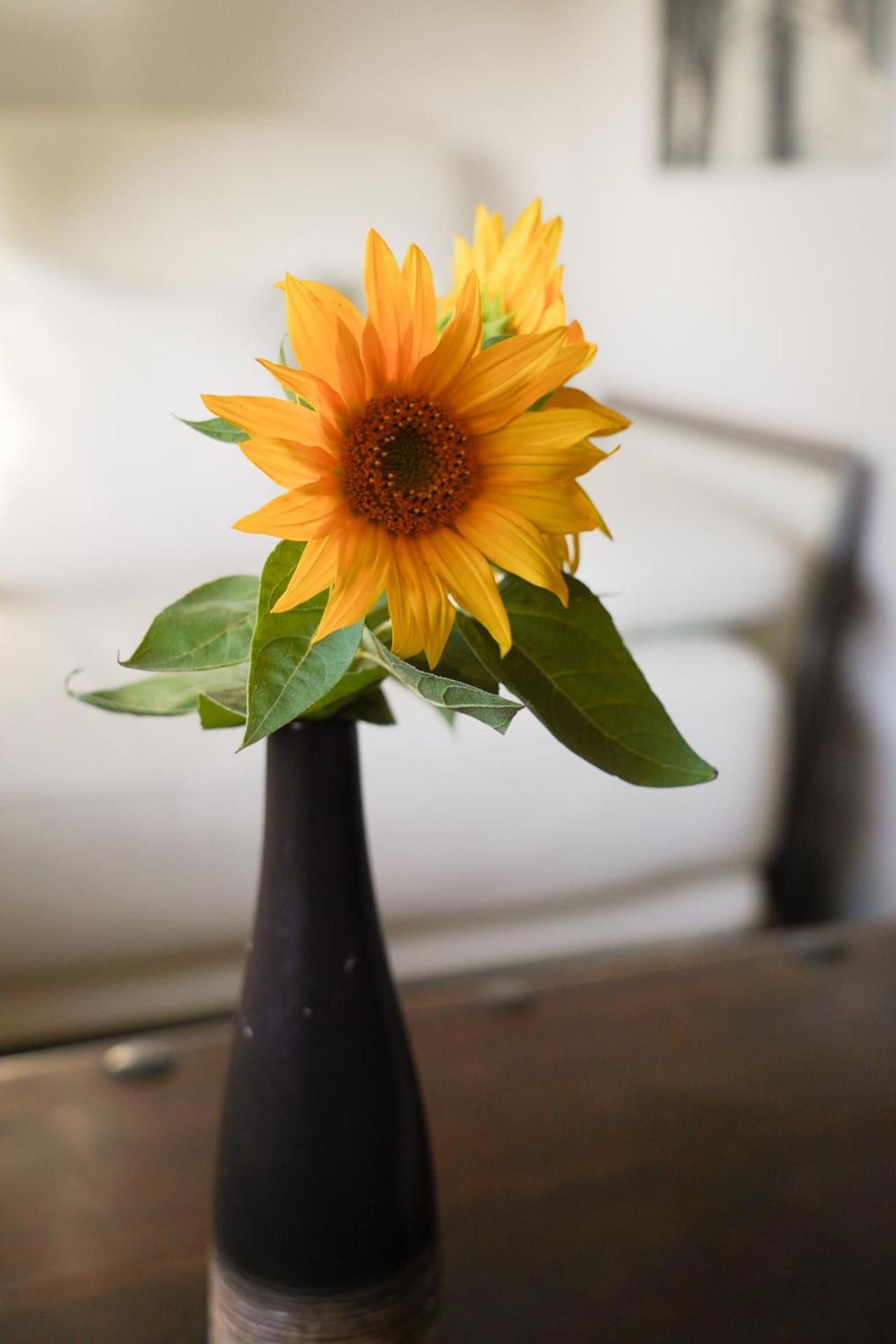 Deluxe Double Room with Shower