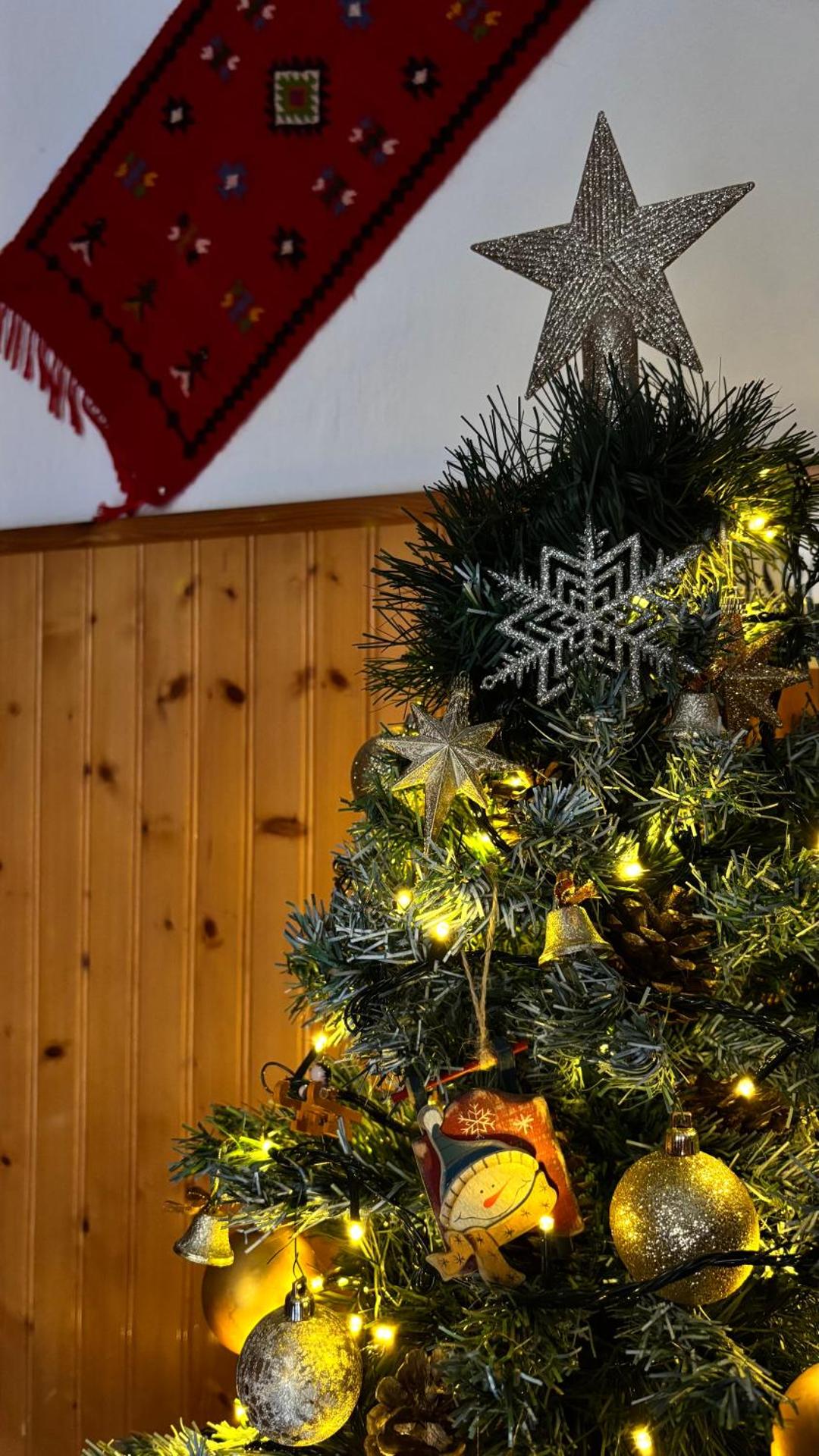 Hotel Acropolis Metsovo