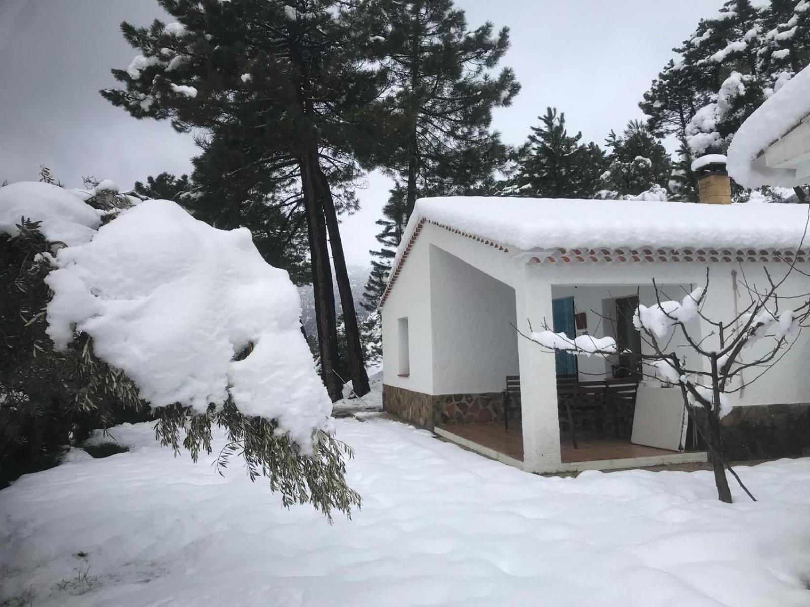 Casas Rurales Mirador del Mundo