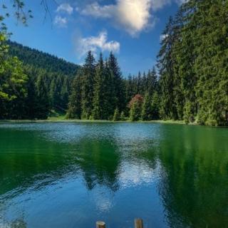 Gasthaus und Pension Zur Libelle