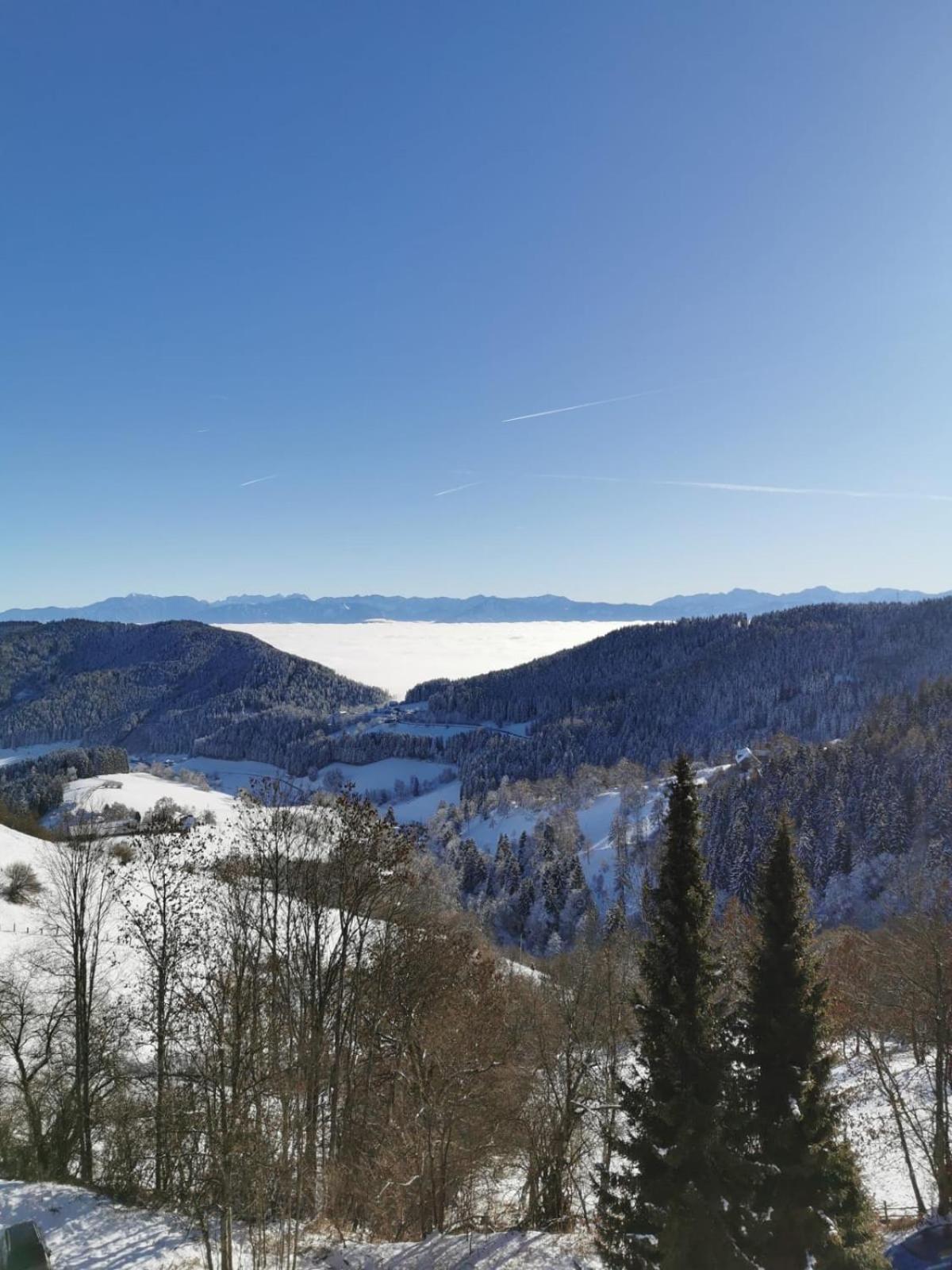 Apartment Simonhöhe