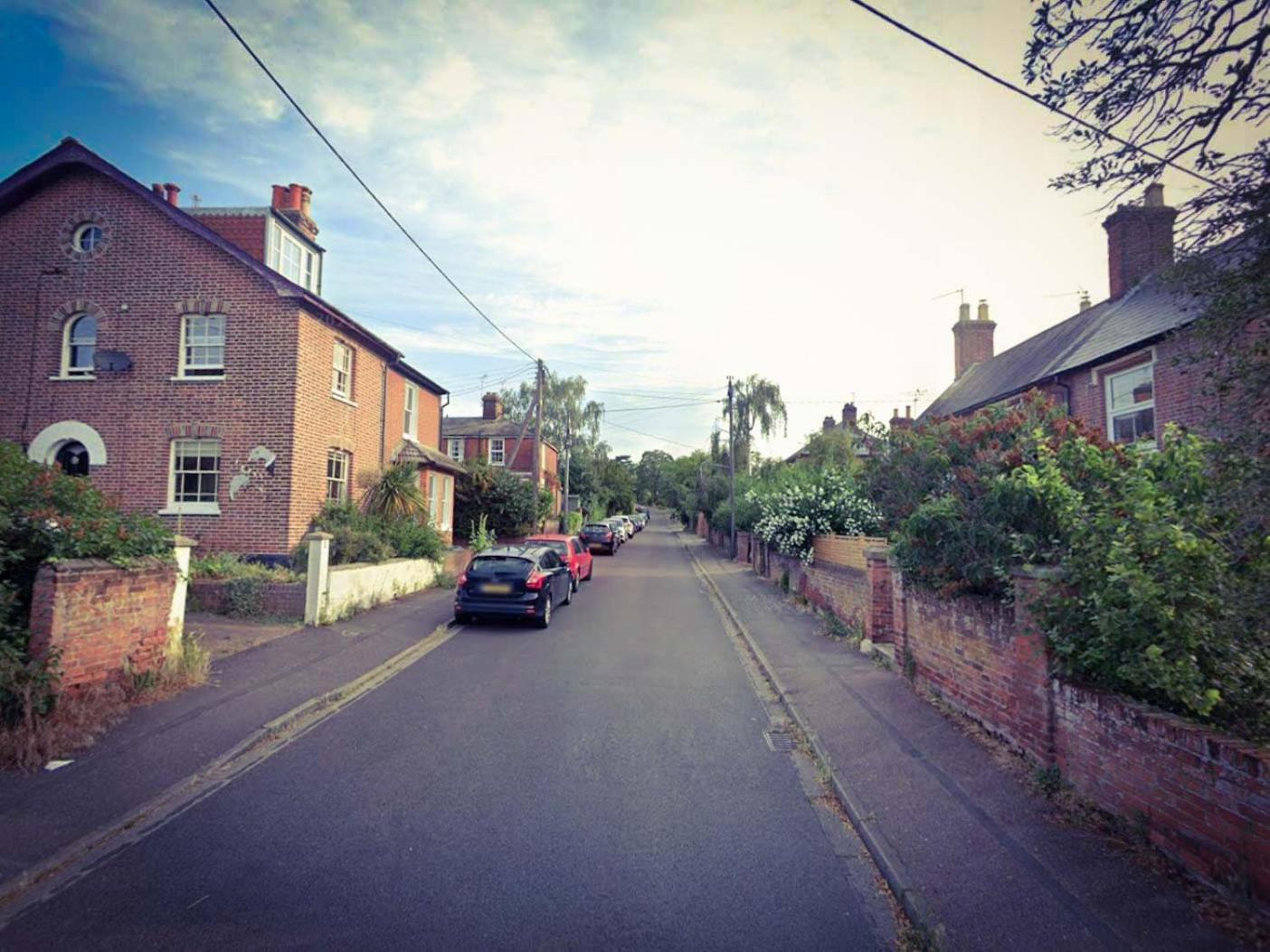 Cosy Cottage Fireplace Patio Pet Train Stn