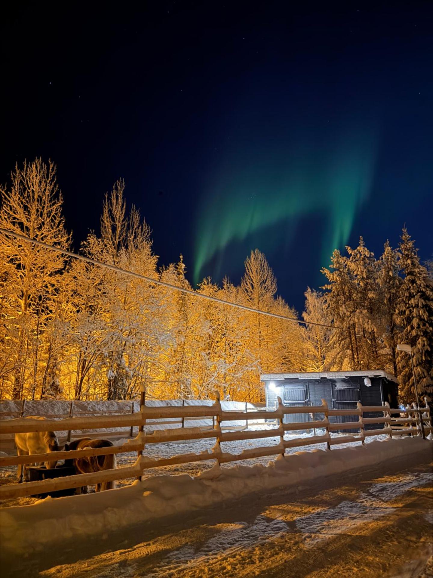 Perinteinen mökki, walking distance from centre