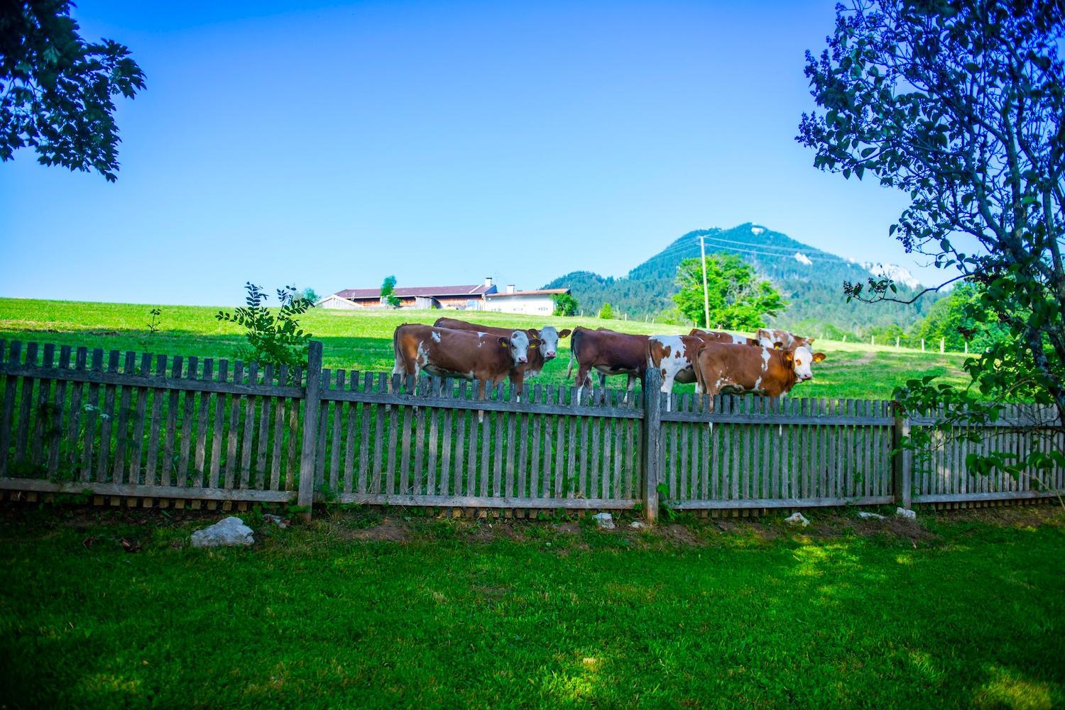 Künstlervilla mit grandiosem Panoramablick