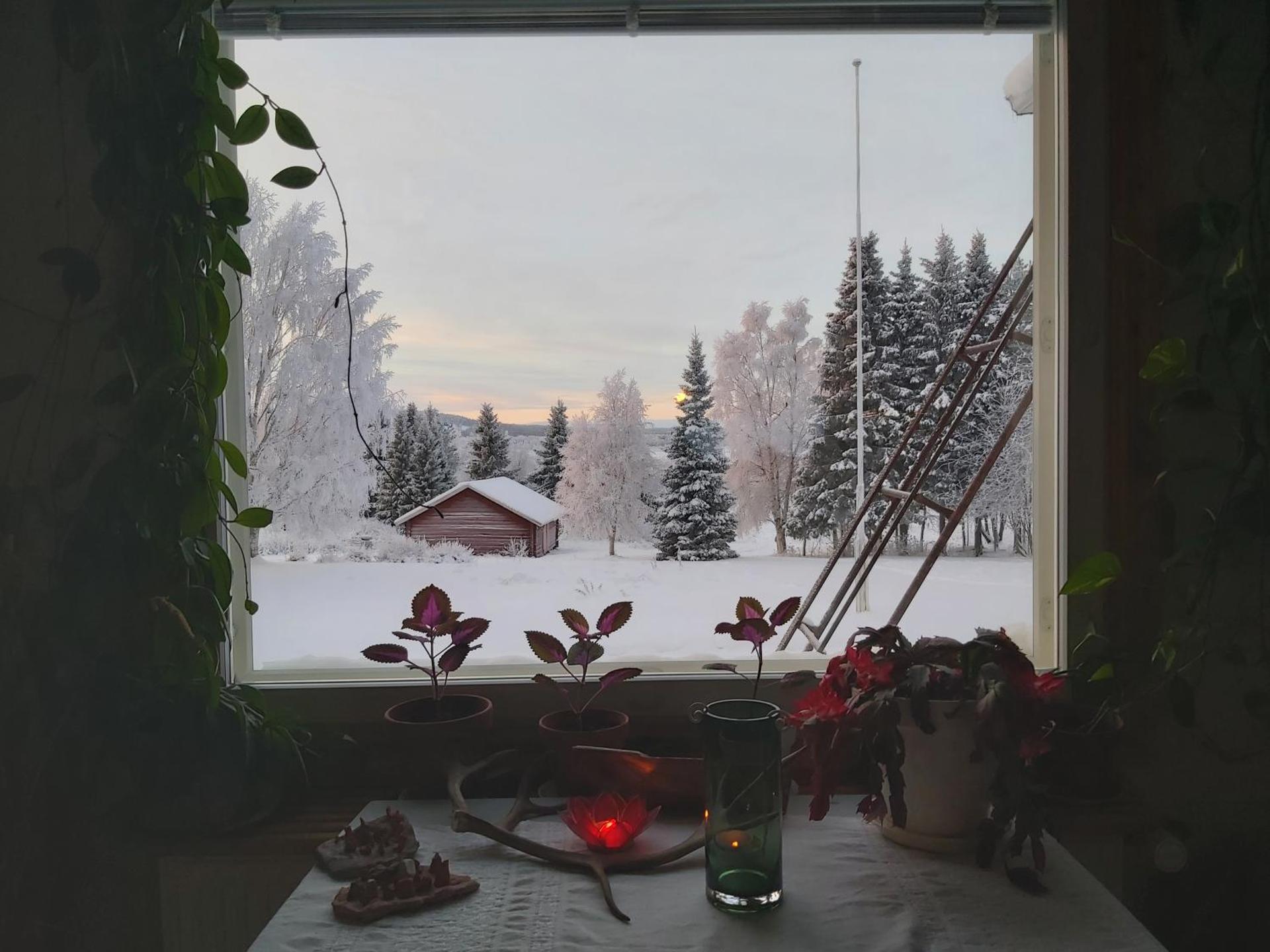 Rooms in a big wooden home, homestay