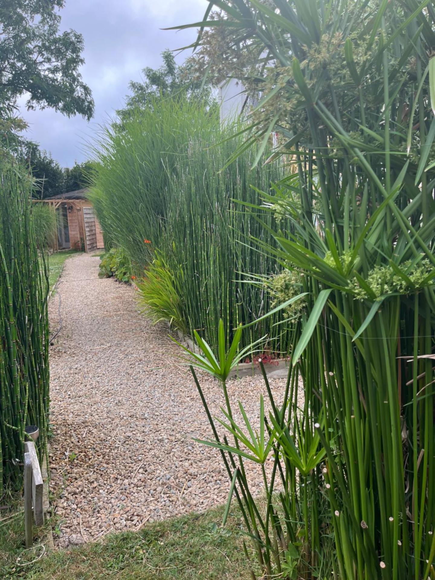 Studio au couleur de l’océan